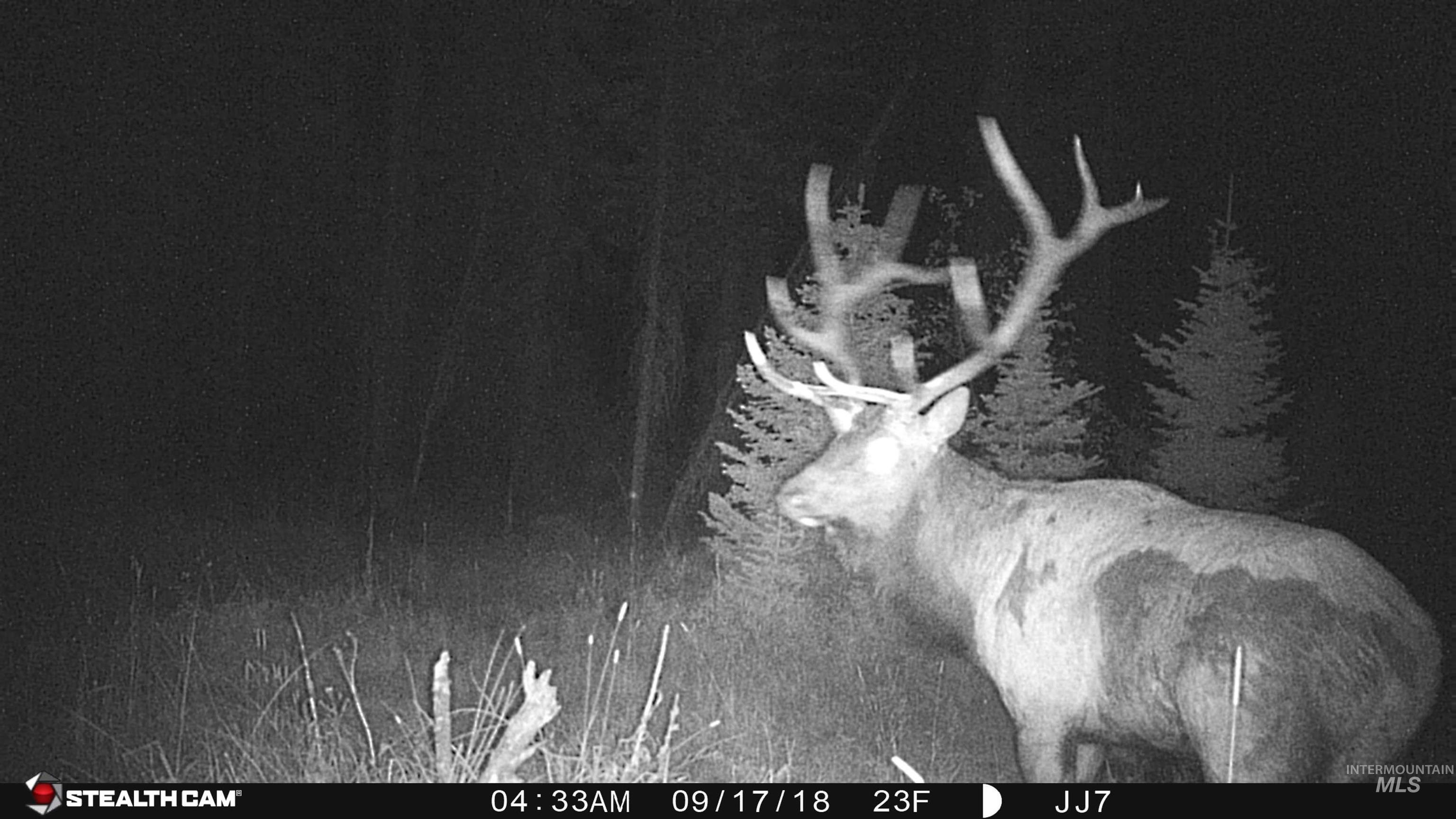 79250 Lookout Mountain Road Elgin, OR 97827 - Photo 6 of 50