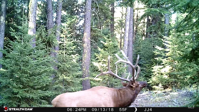 $4,950,000 | 79250 Lookout Mountain Road, Elgin, OR 97827