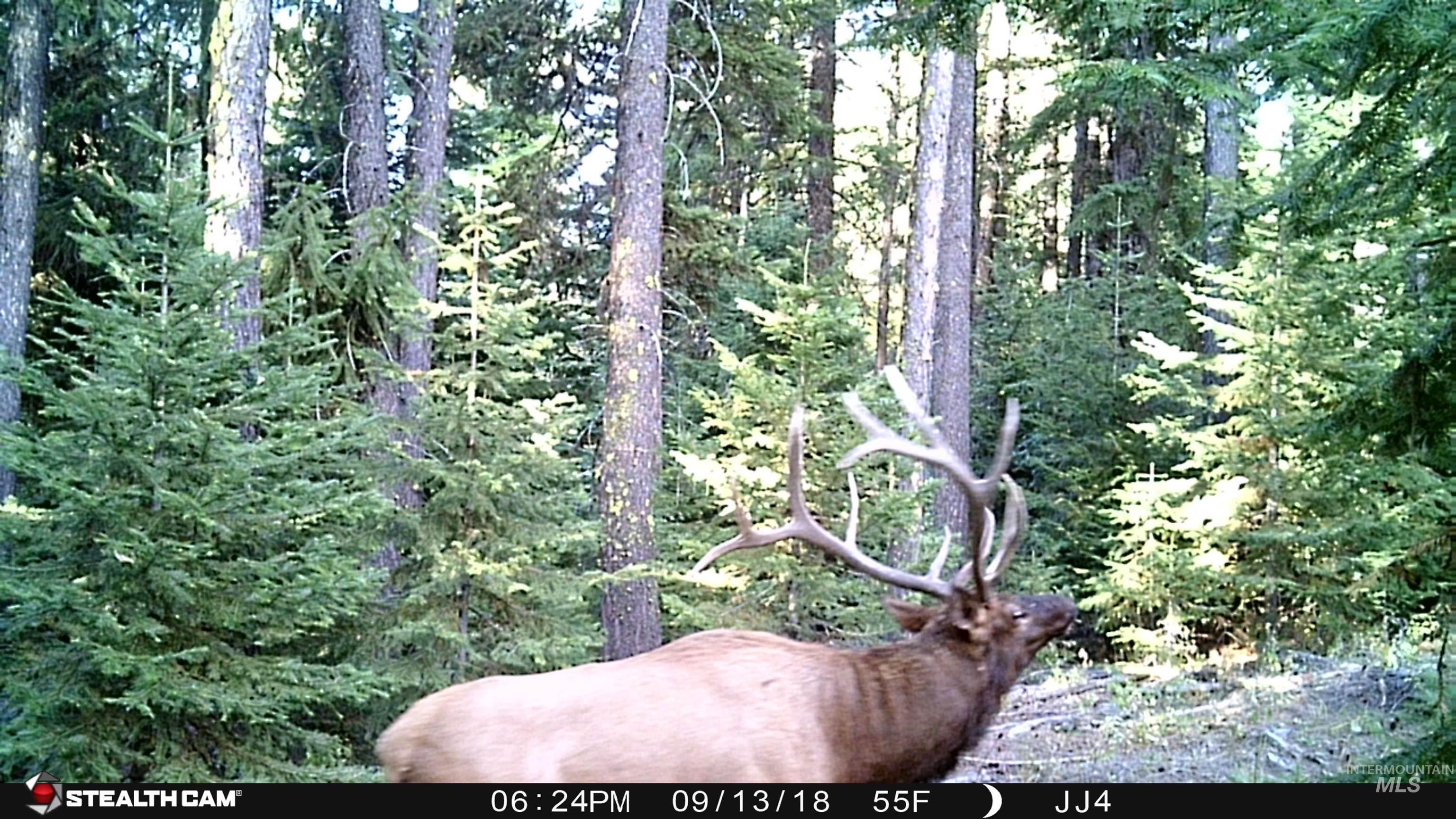 79250 Lookout Mountain Road Elgin, OR 97827 - Photo 7 of 50