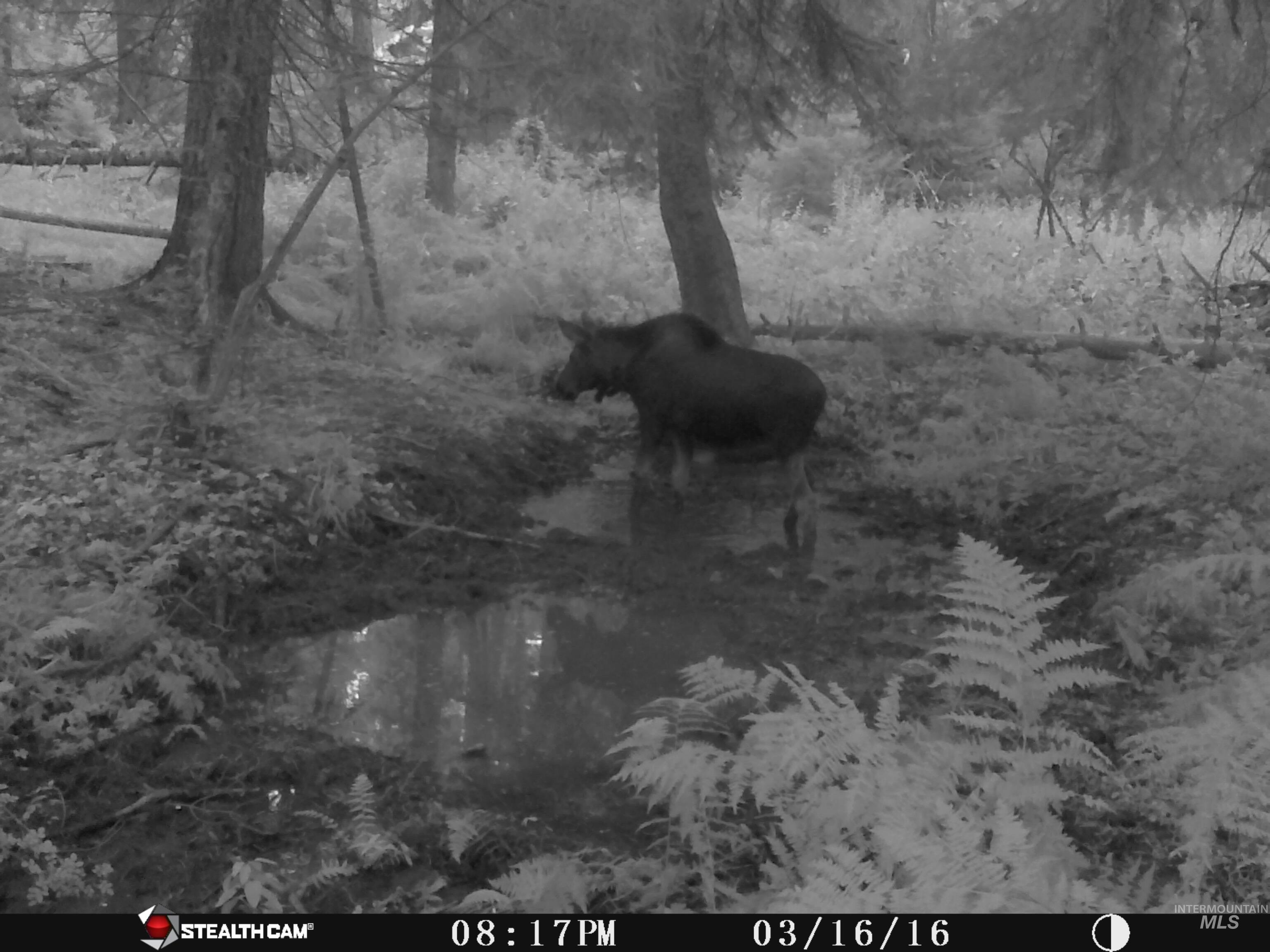 79250 Lookout Mountain Road Elgin, OR 97827 - Photo 8 of 50