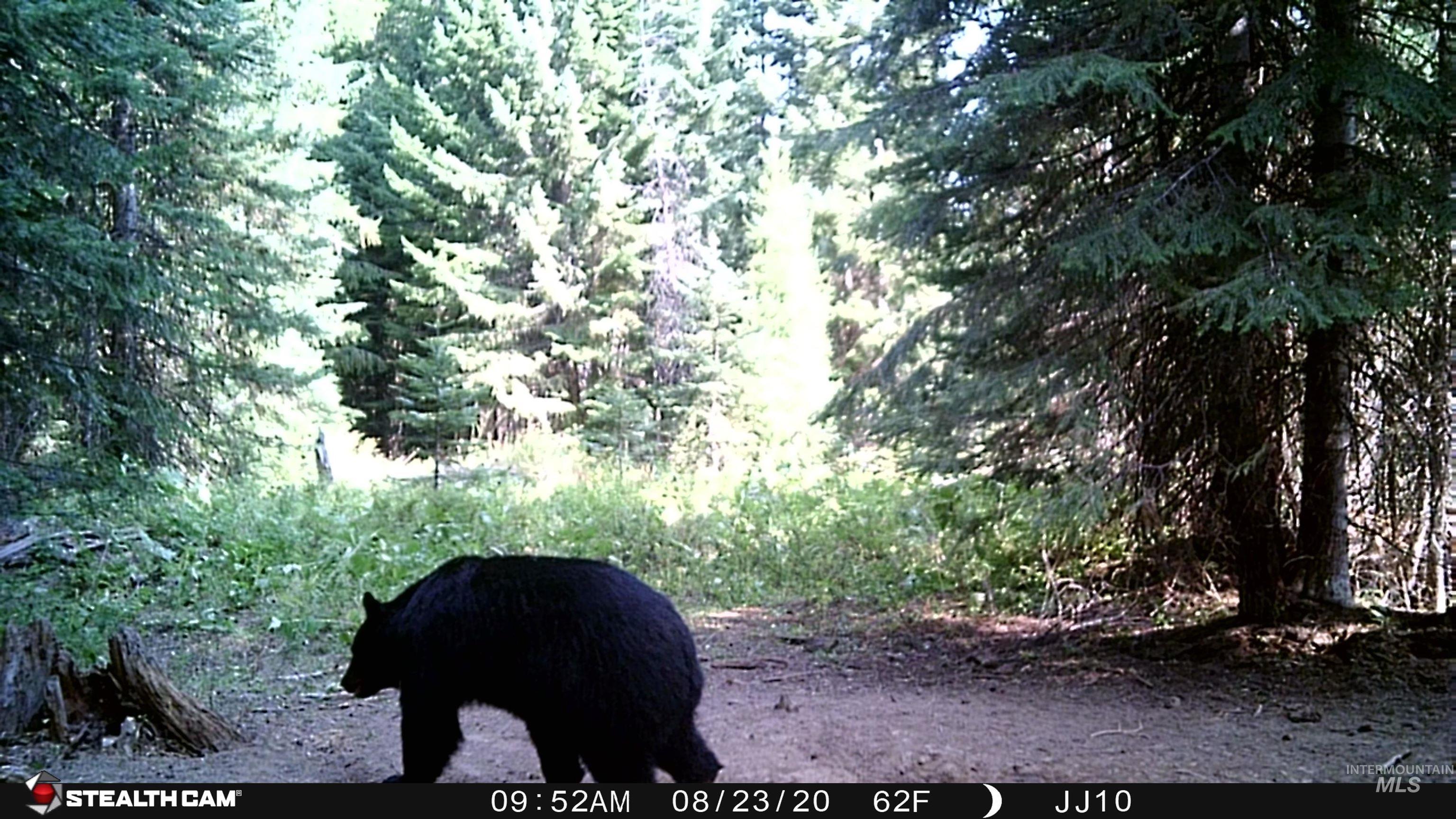 79250 Lookout Mountain Road Elgin, OR 97827 - Photo 9 of 50