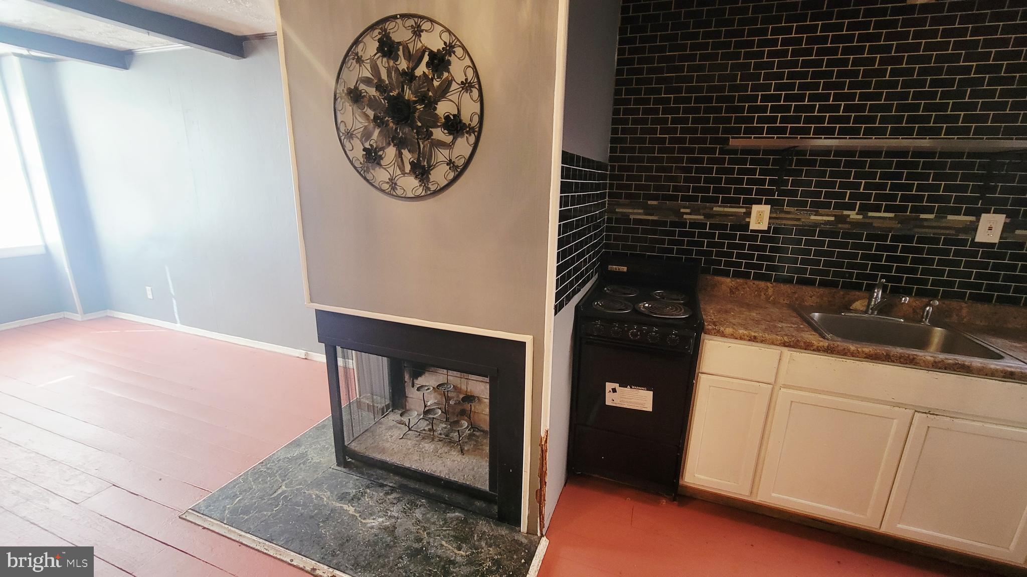 703 Tessier Street Baltimore, MD 21201 - Photo 6 of 19 Fireplace