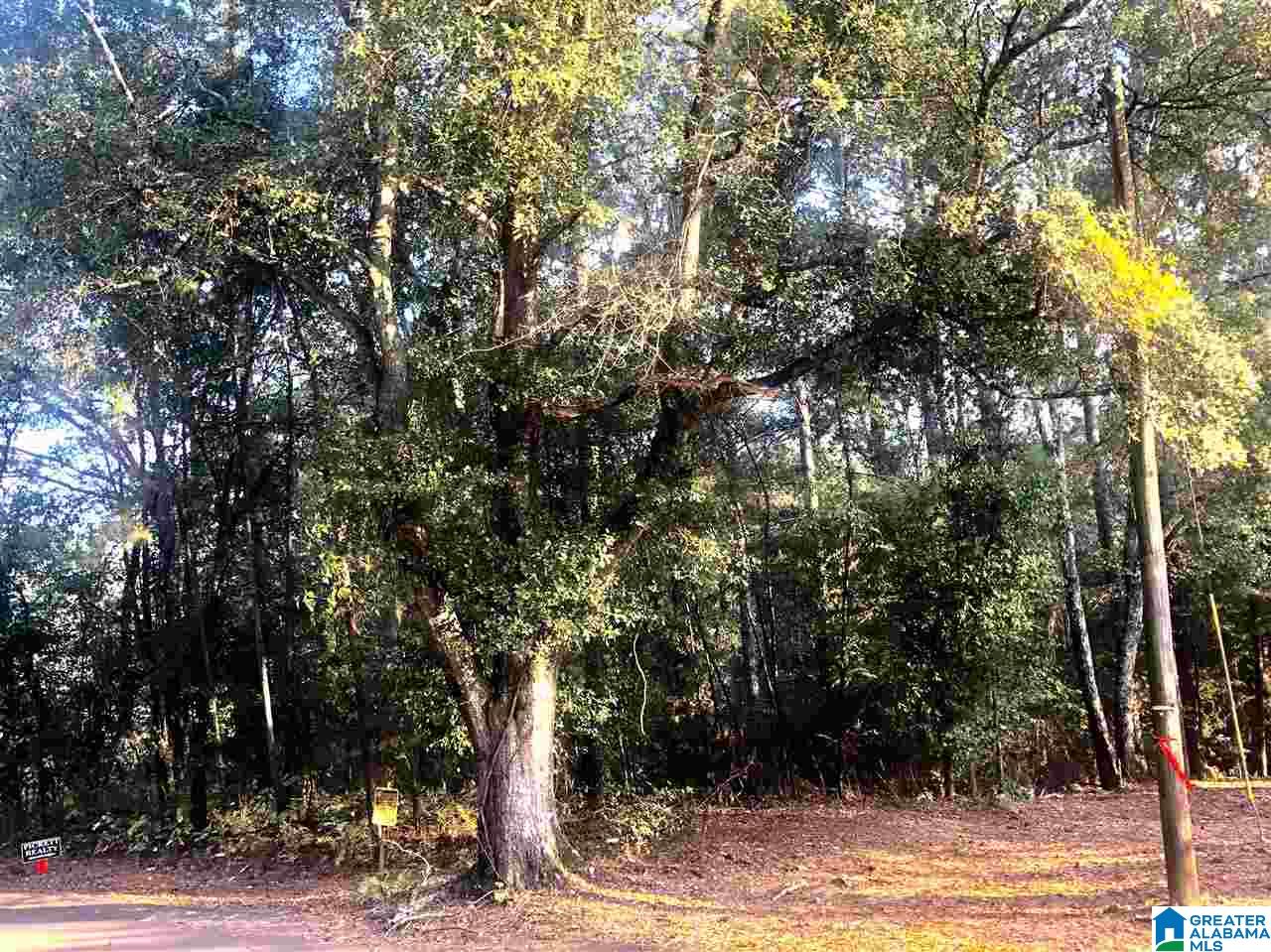 0 Carleton Point Lane, Unit 1 Wilsonville, AL 35186 - Photo 3 of 8