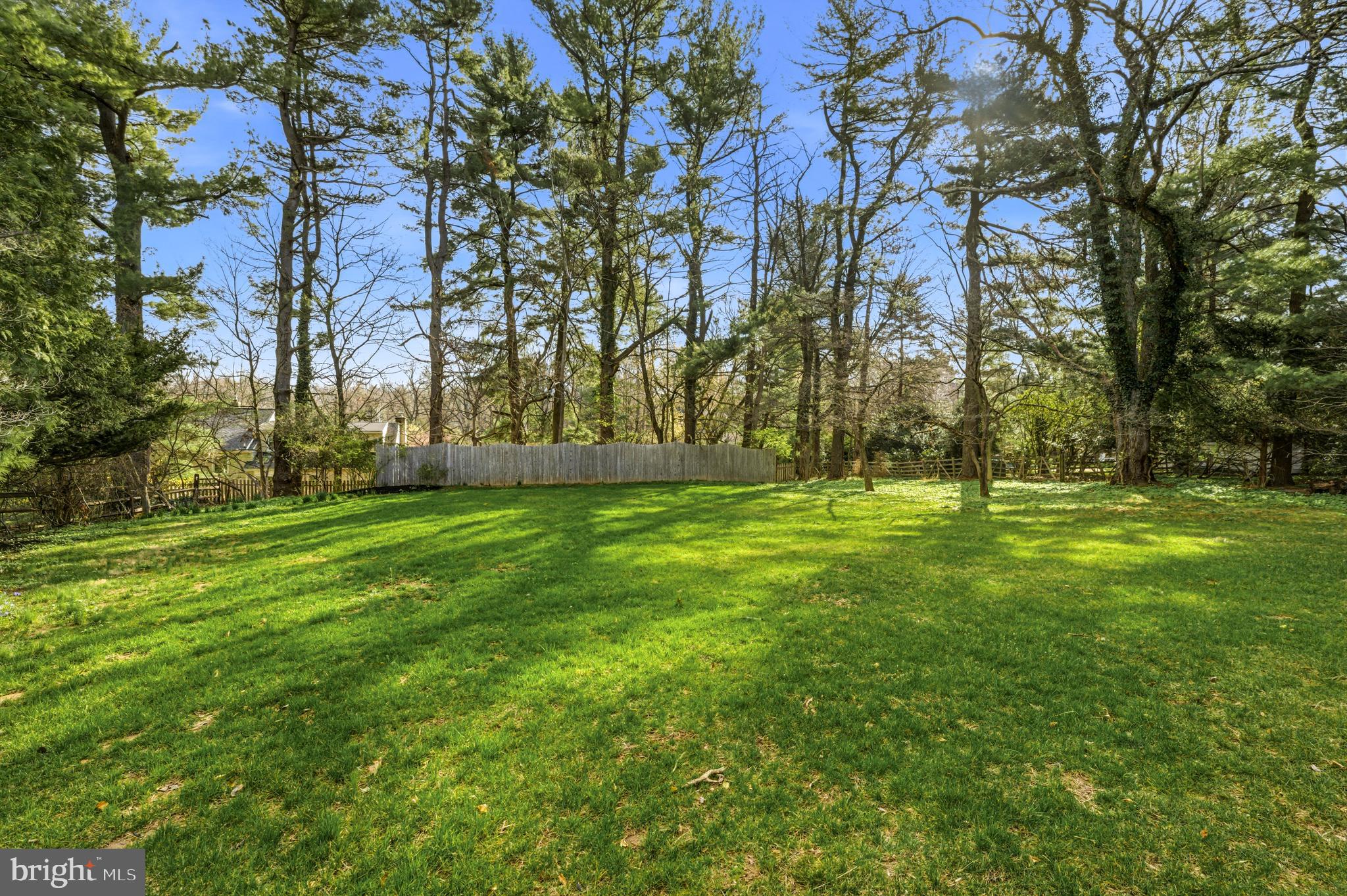 371 Margo Lane Berwyn, PA 19312 - Photo 48 of 68 a view of outdoor space with trees all around