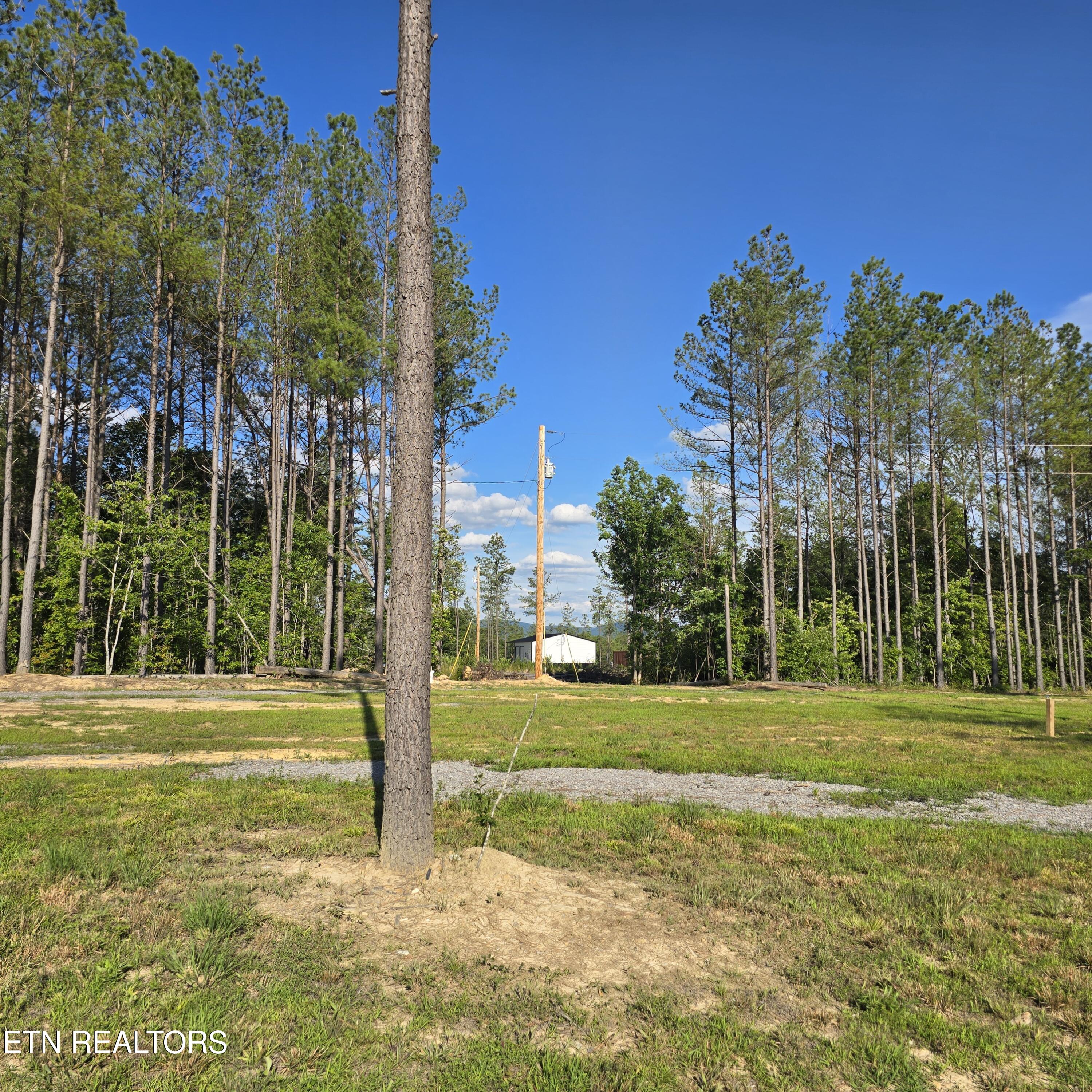 15-ac Red Hill Road Sunbright, TN 37872 - Photo 28 of 57 20260620_182308
