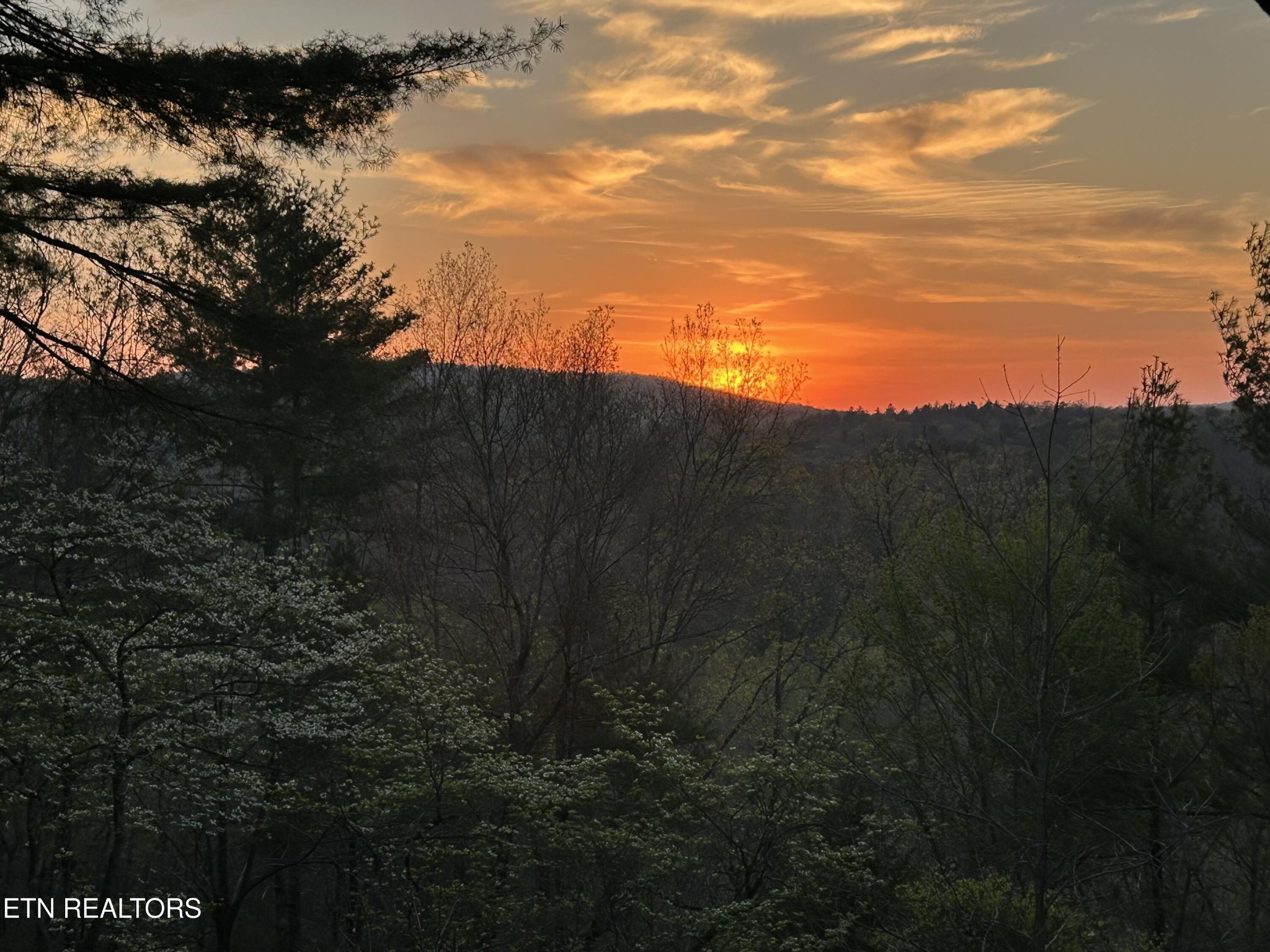 151 Gold Miners Road Tellico Plains, TN 37385 - Photo 30 of 58 Gallery Image 30