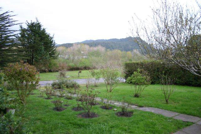 12-14 Weymouth Bluff Road Ferndale, CA 95536 - Photo 59 of 77