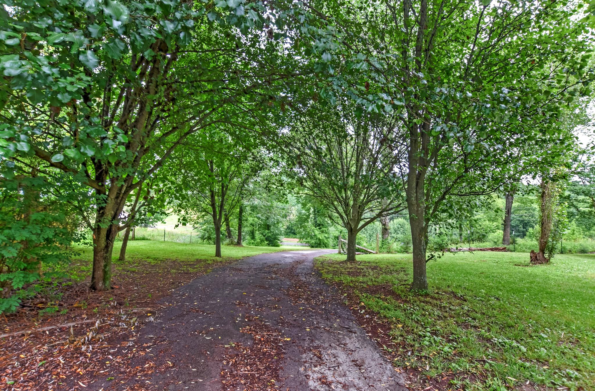 945 Turner Road Watertown, TN 37184 - Photo 8 of 30 a view of outdoor space with trees all around