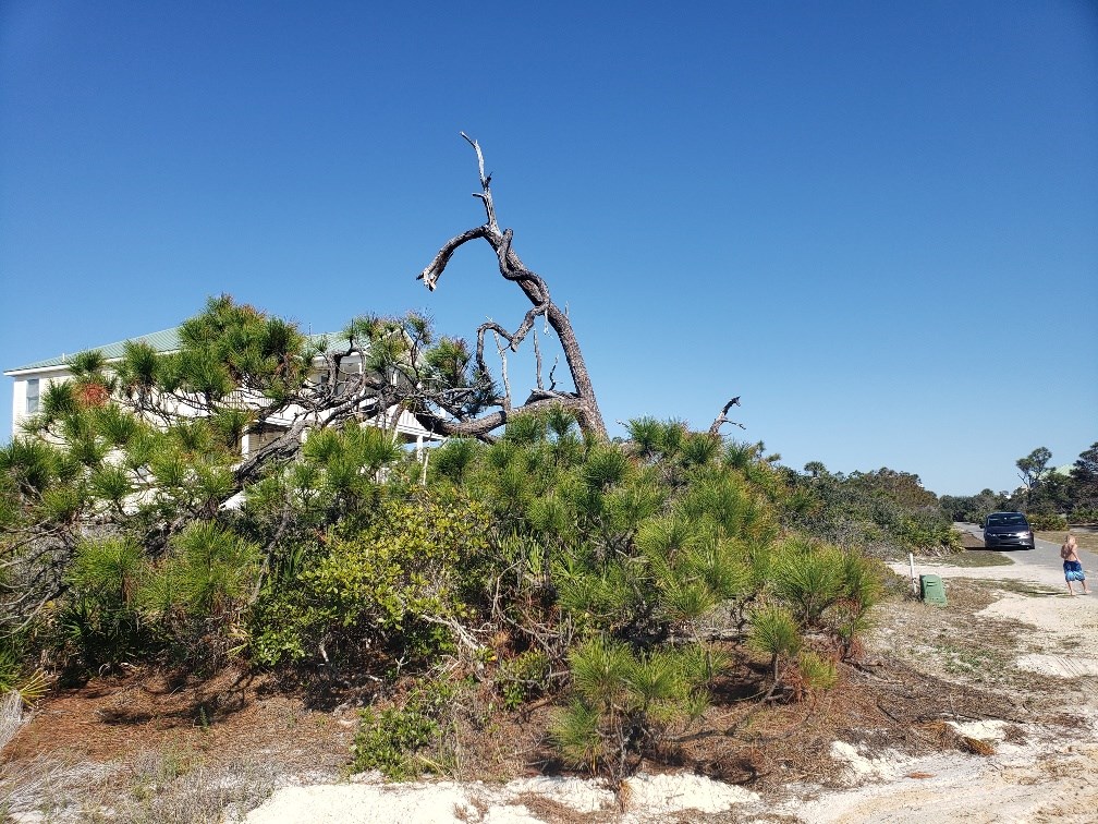 1952 Coral Reef Road Eastpoint, FL 32328 - Photo 7 of 18