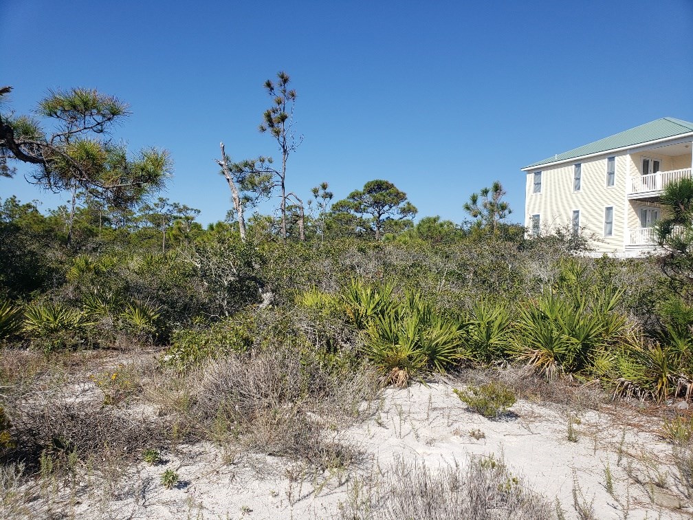 1952 Coral Reef Road Eastpoint, FL 32328 - Photo 8 of 18