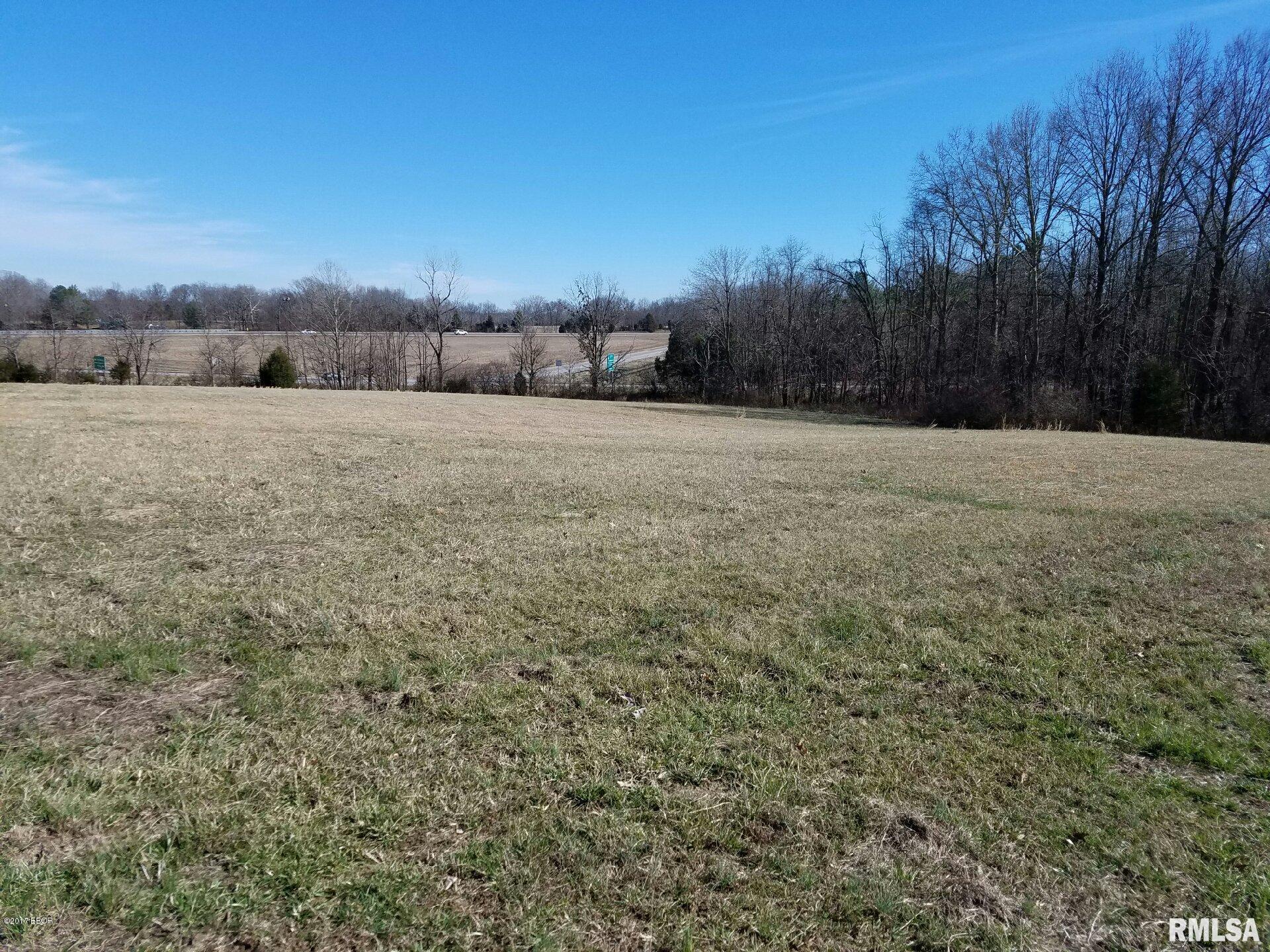 0 Tulip Lane Vienna, IL 62995 - Photo 2 of 6