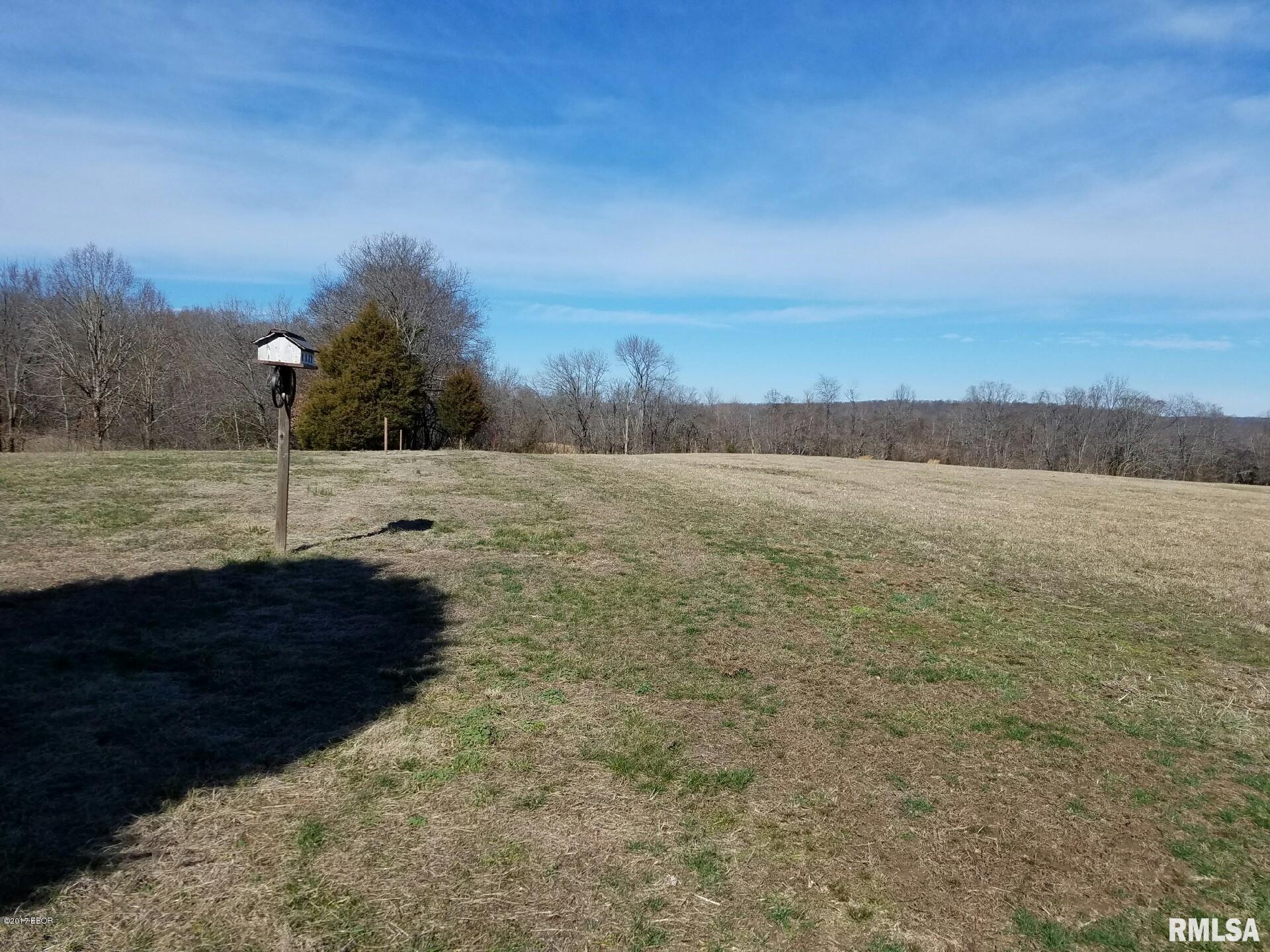 0 Tulip Lane Vienna, IL 62995 - Photo 3 of 6