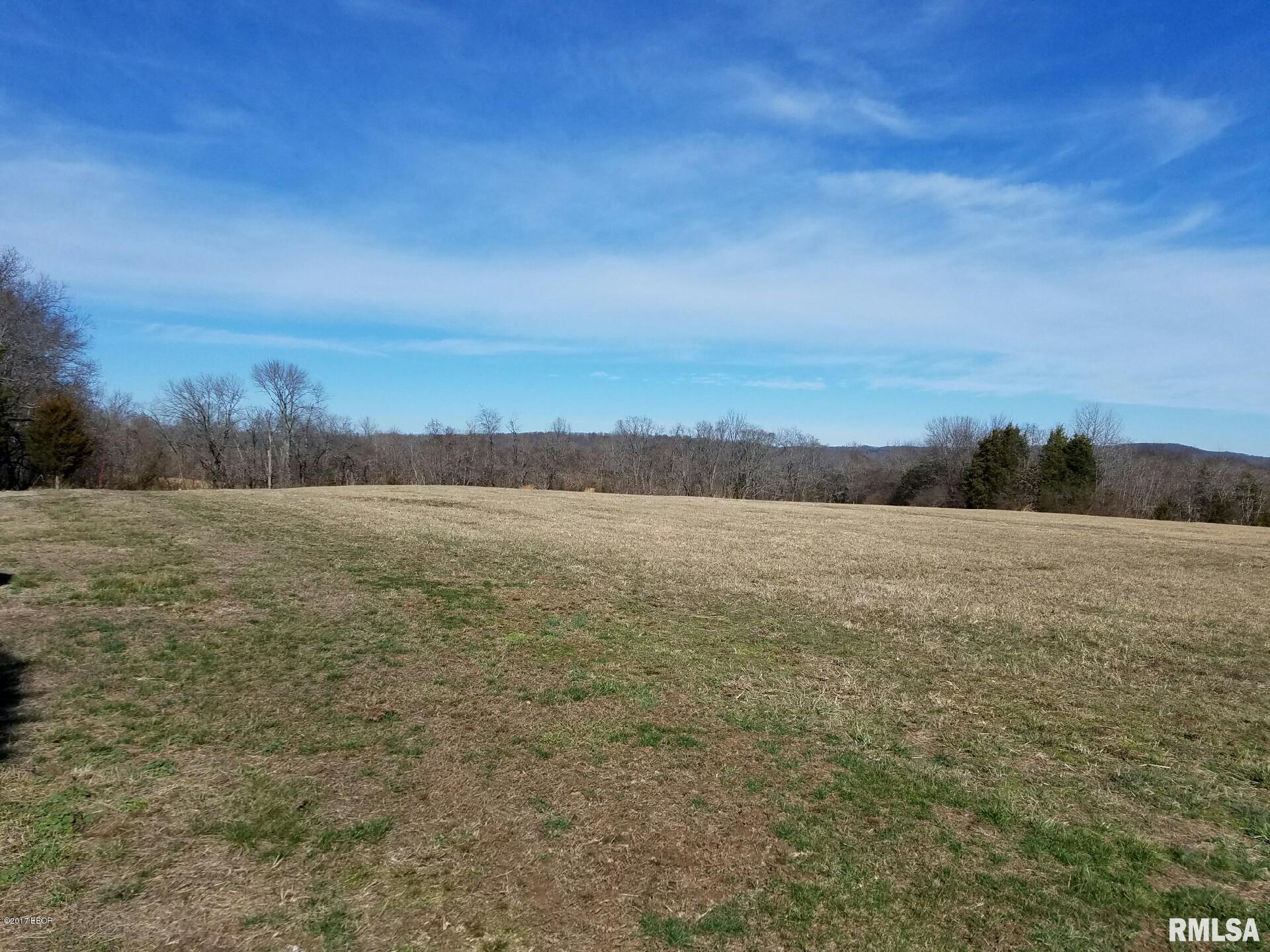 0 Tulip Lane Vienna, IL 62995 - Photo 4 of 6