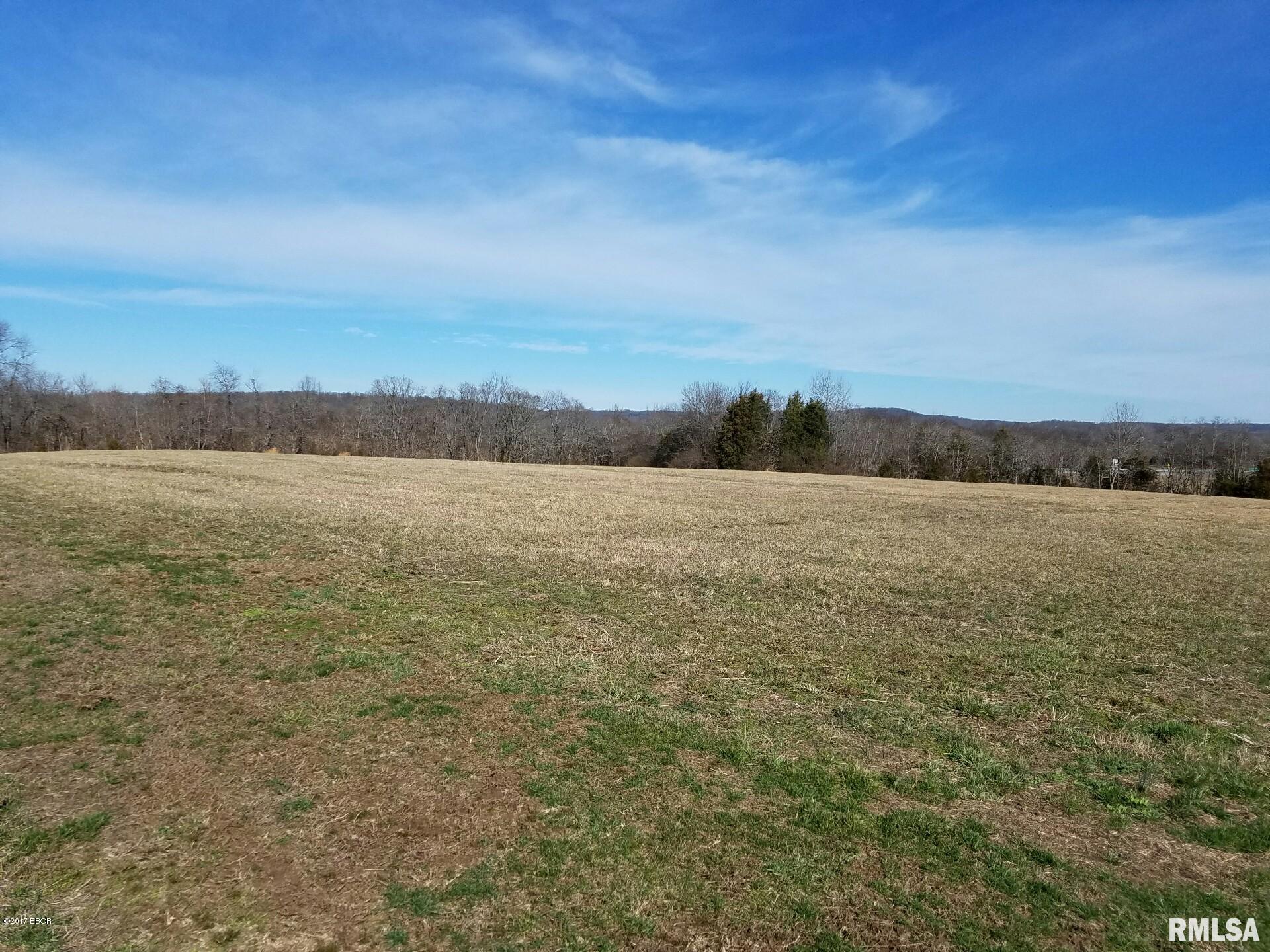 0 Tulip Lane Vienna, IL 62995 - Photo 5 of 6