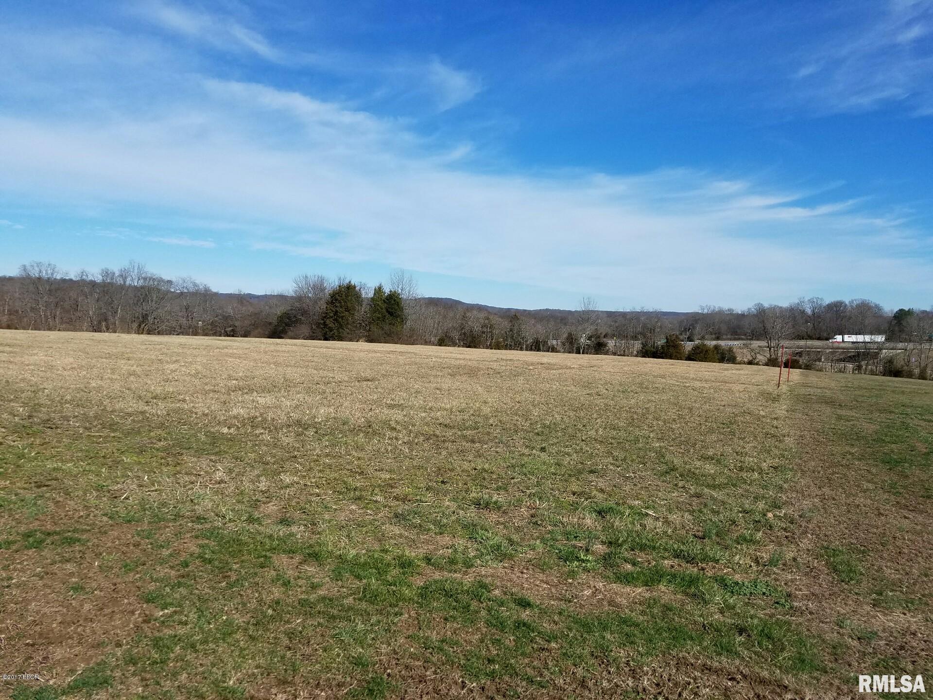 0 Tulip Lane Vienna, IL 62995 - Photo 6 of 6