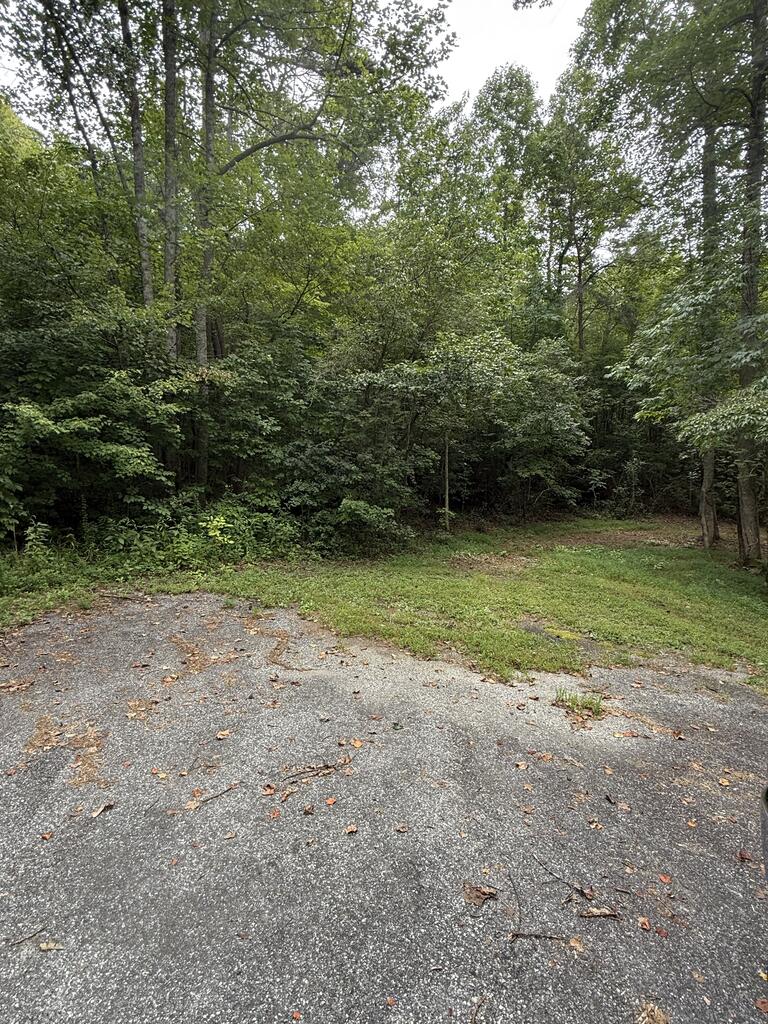 0 Henson Road Hayesville, NC 28904 - Photo 8 of 28 Gallery Image 8