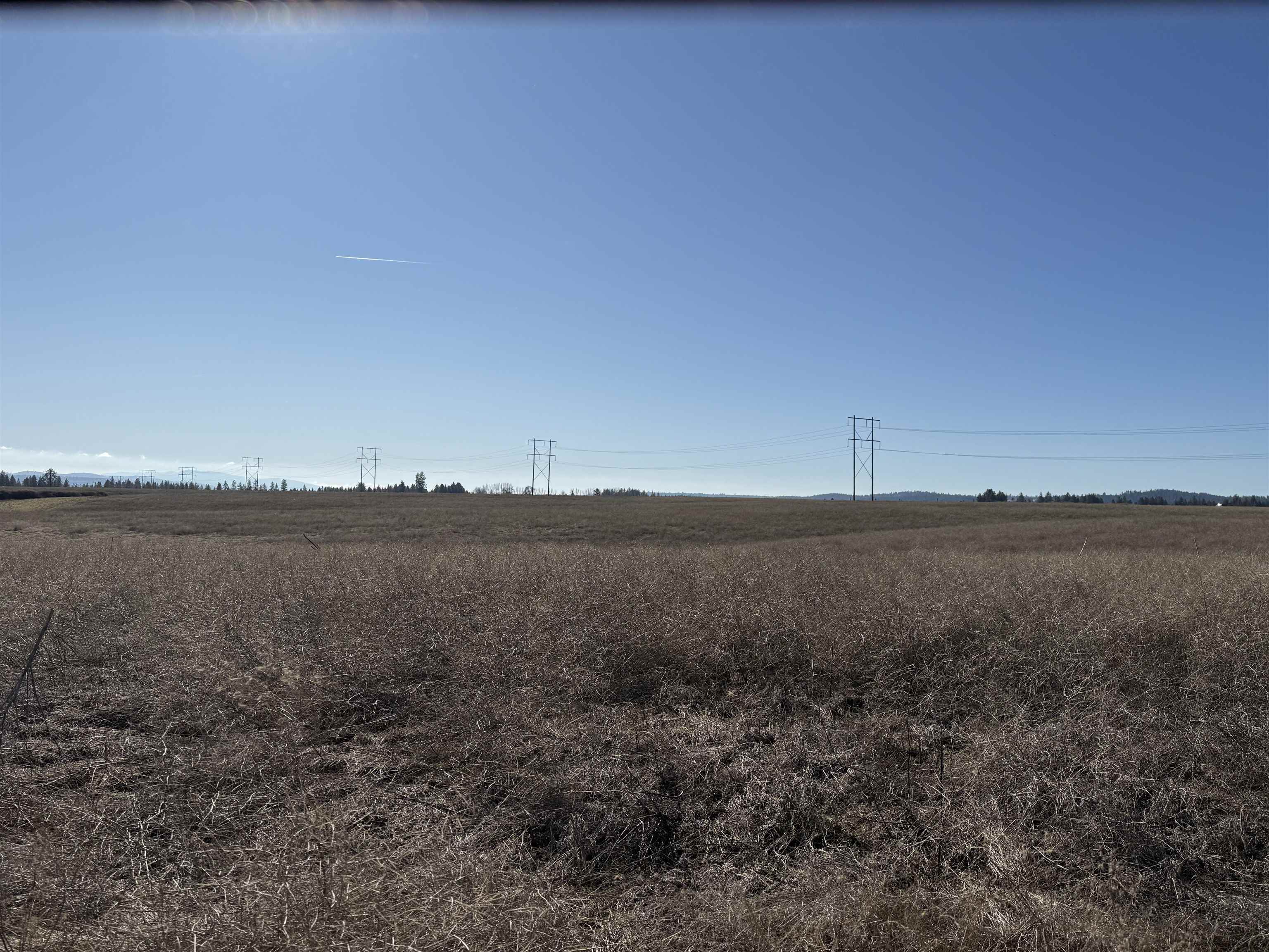 90 North Acres Listing Lane Colbert, WA 99005 - Photo 8 of 11