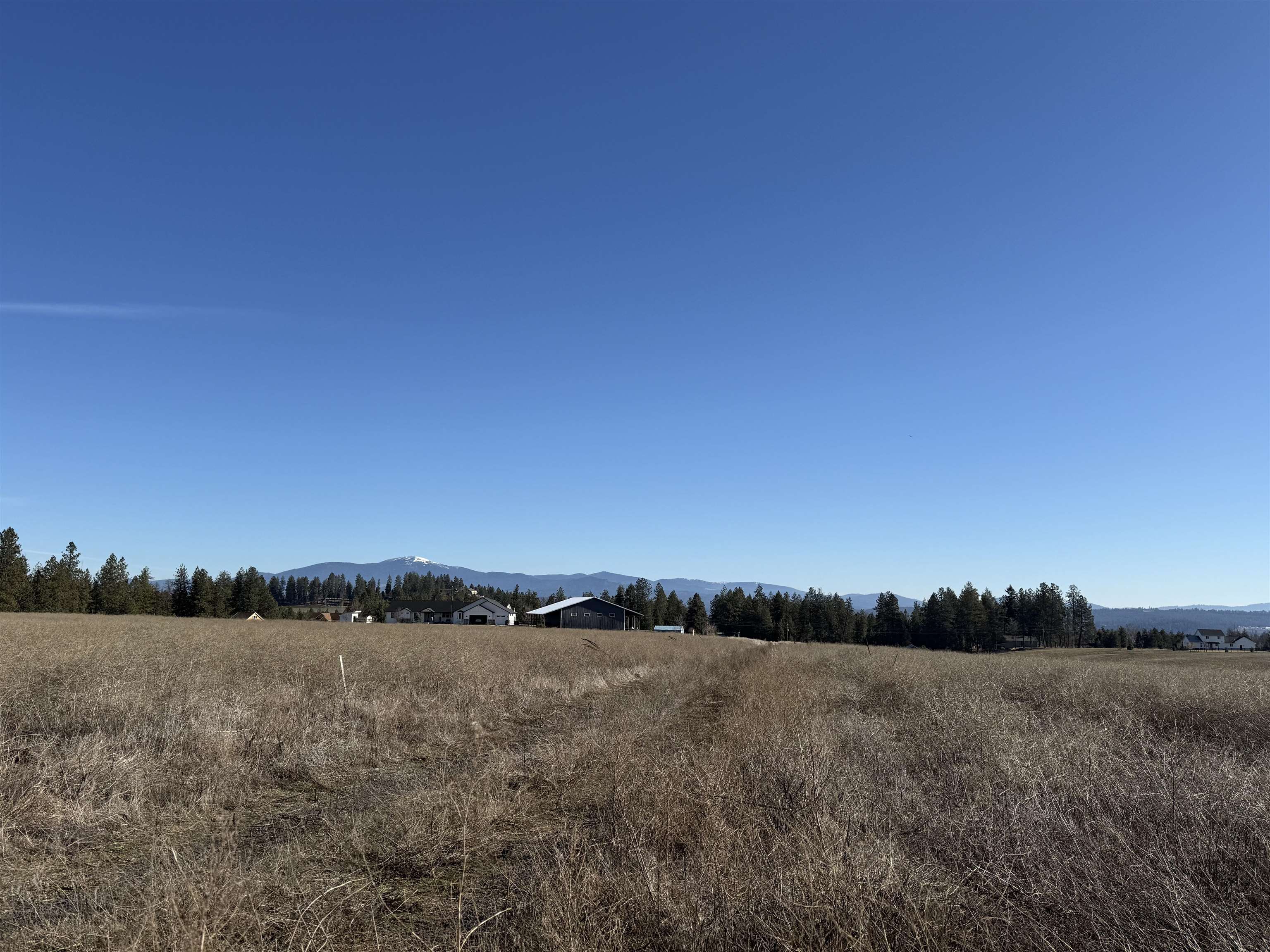 90 North Acres Listing Lane Colbert, WA 99005 - Photo 10 of 11