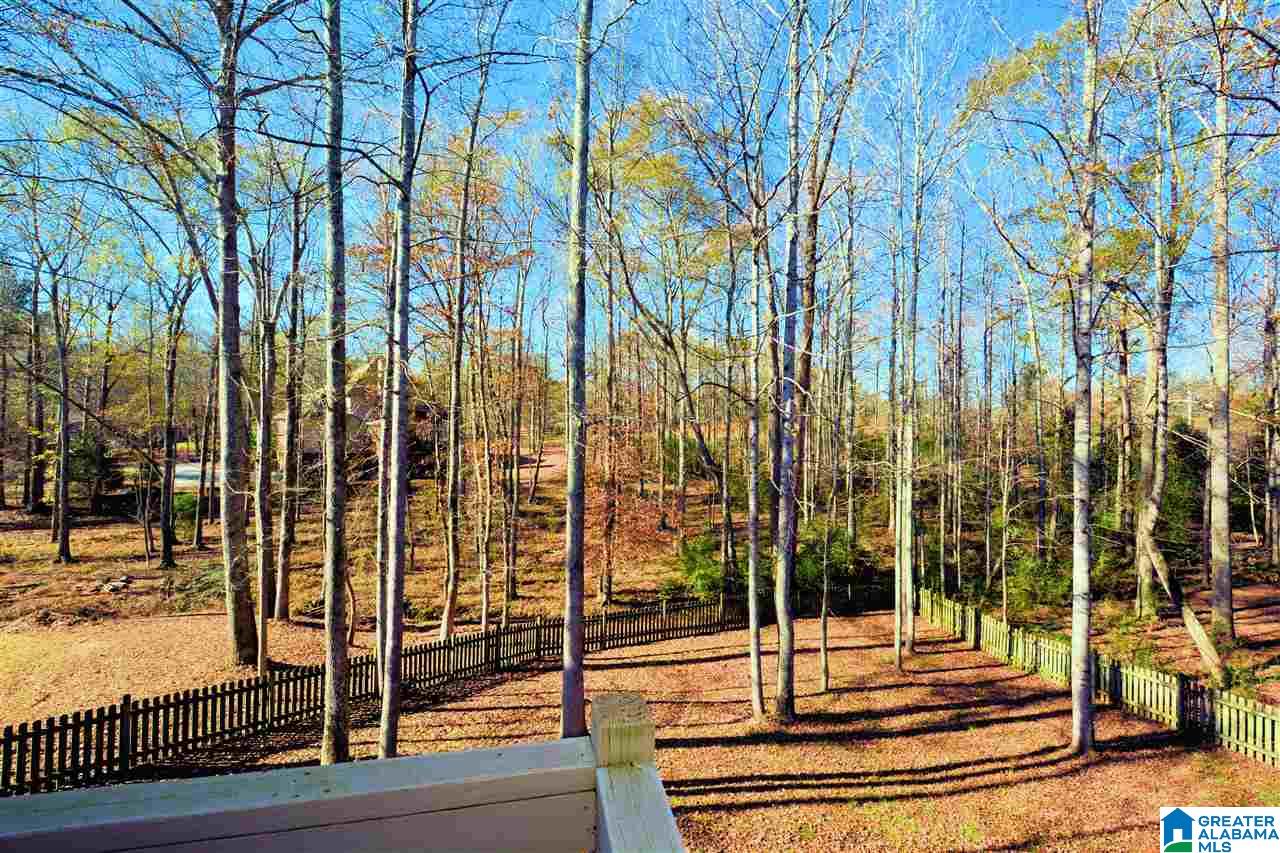 121 Branch Drive Chelsea, AL 35043 - Photo 7 of 47