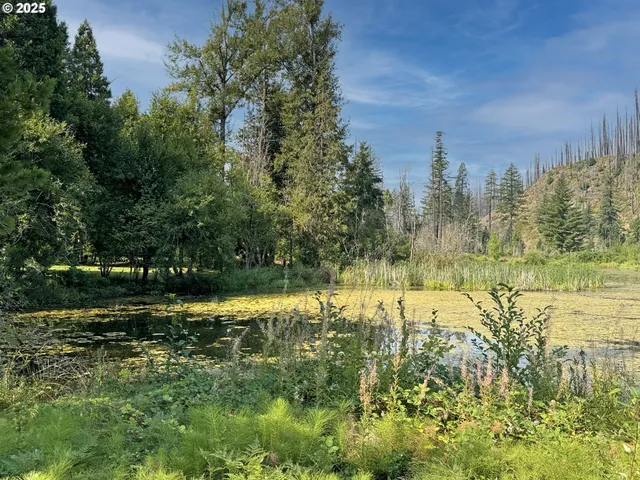 $65,000 | 54432 McKenzie Highway, Unit 38, Blue River, OR 97413