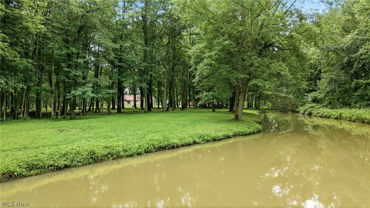 2930 Selkirk Bush Road Warren, OH 44481 - Photo 41 of 50 Creek