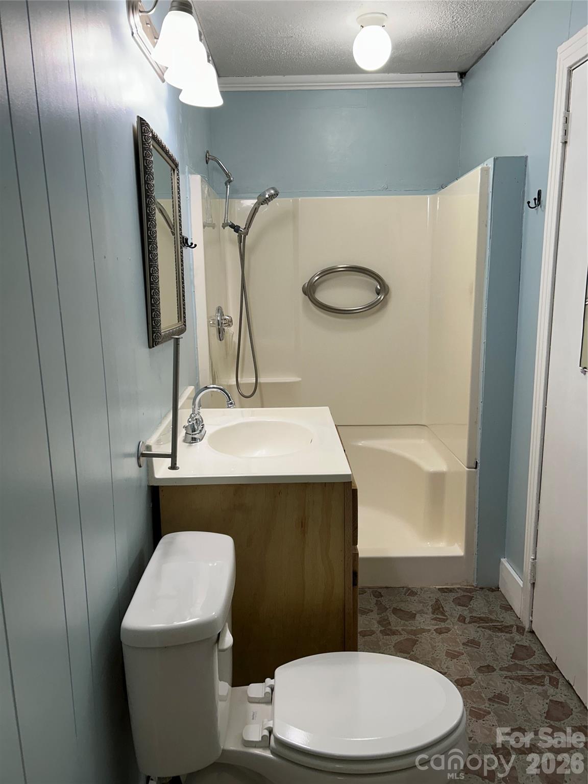 2307 Harris Henrietta Road Forest City, NC 28043 - Photo 28 of 31 a bathroom with a toilet a sink and mirror