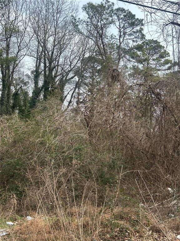 4581 White City Road Atlanta, GA 30337 - Photo 1 of 2