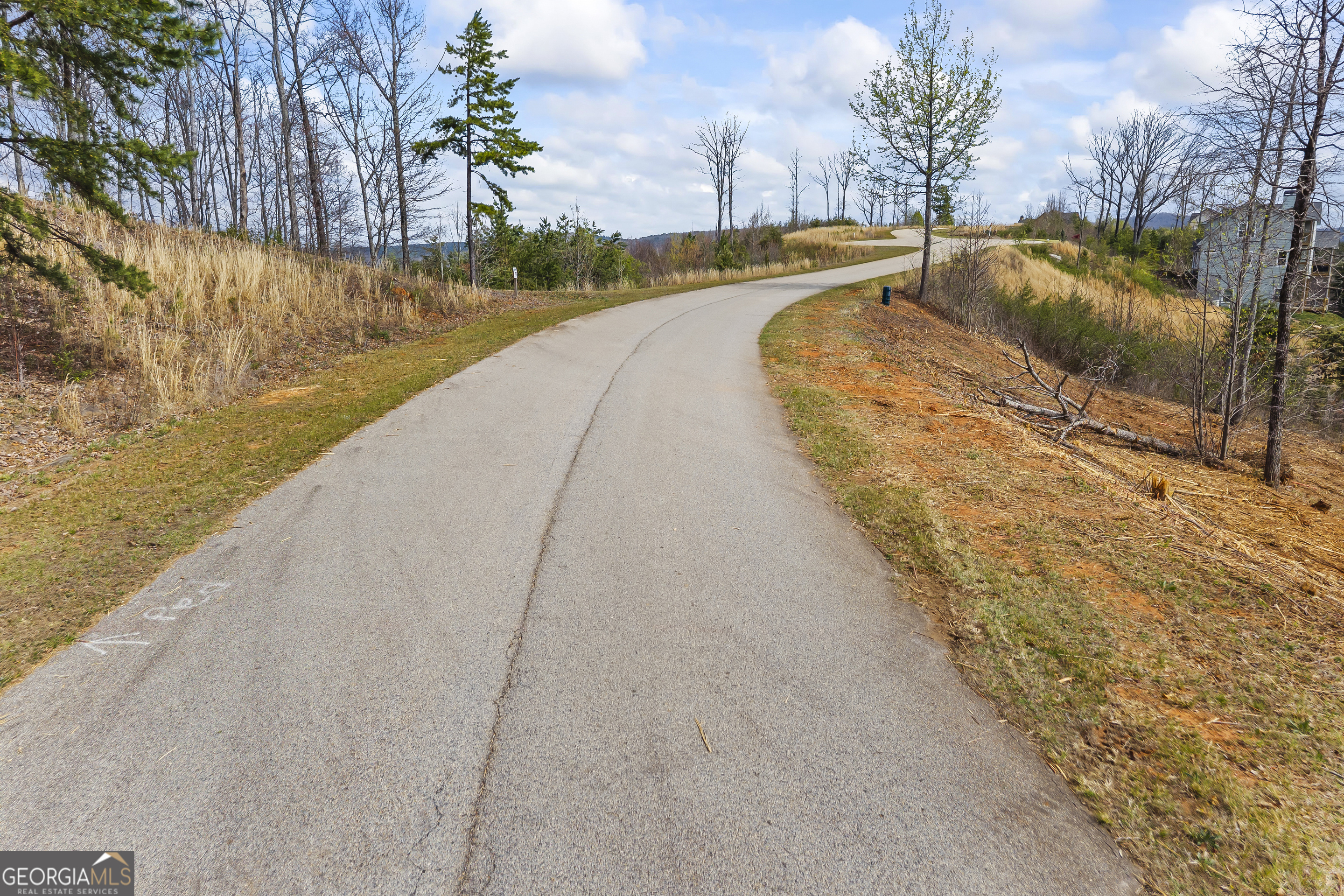 Lot 36 Mountain Ridge Drive Clarkesville, GA 30523 - Photo 17 of 53