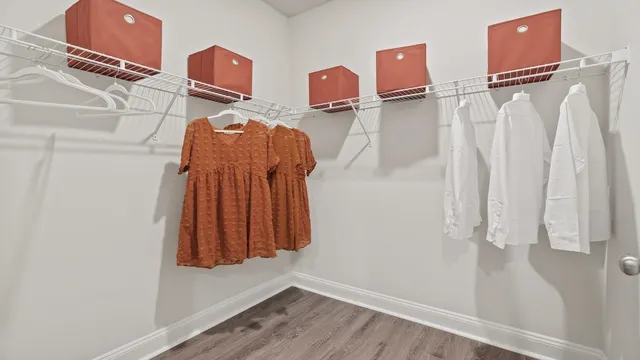 a view of walk in closet with clothes and shoes