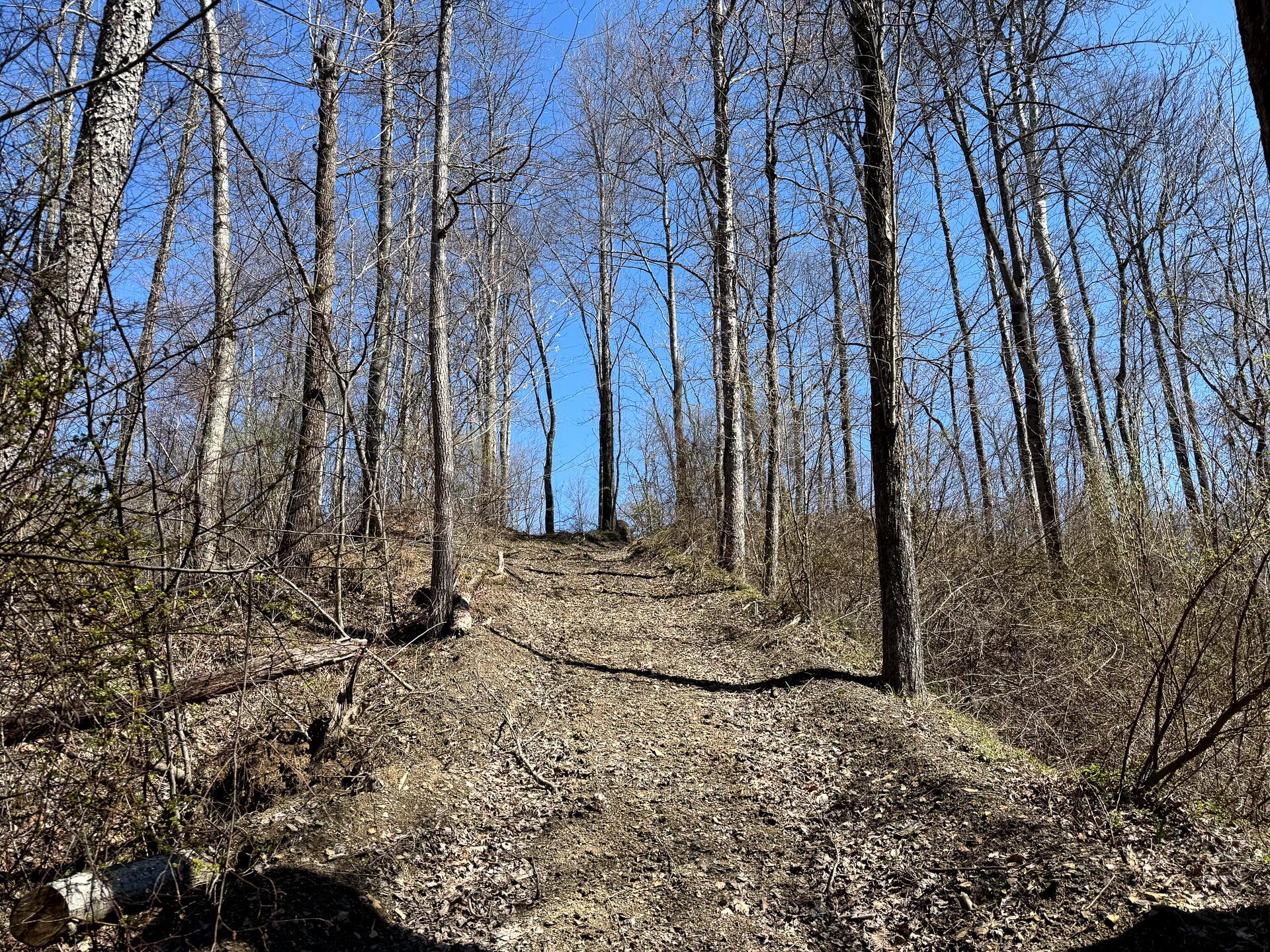 0 Dutch Ridge Road Southeast, Unit WOODS TURKEY RUN TRACT 6) New Lexington, OH 43764 - Photo 26 of 31 CT-26