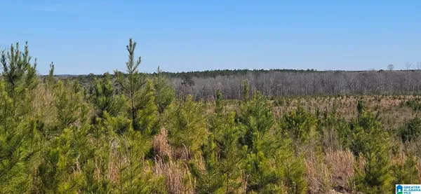 $279,000 | 0 Highway 139 Randolph Al, Unit 1, Randolph, AL 36792