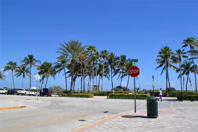 a view of palm trees and palm tree