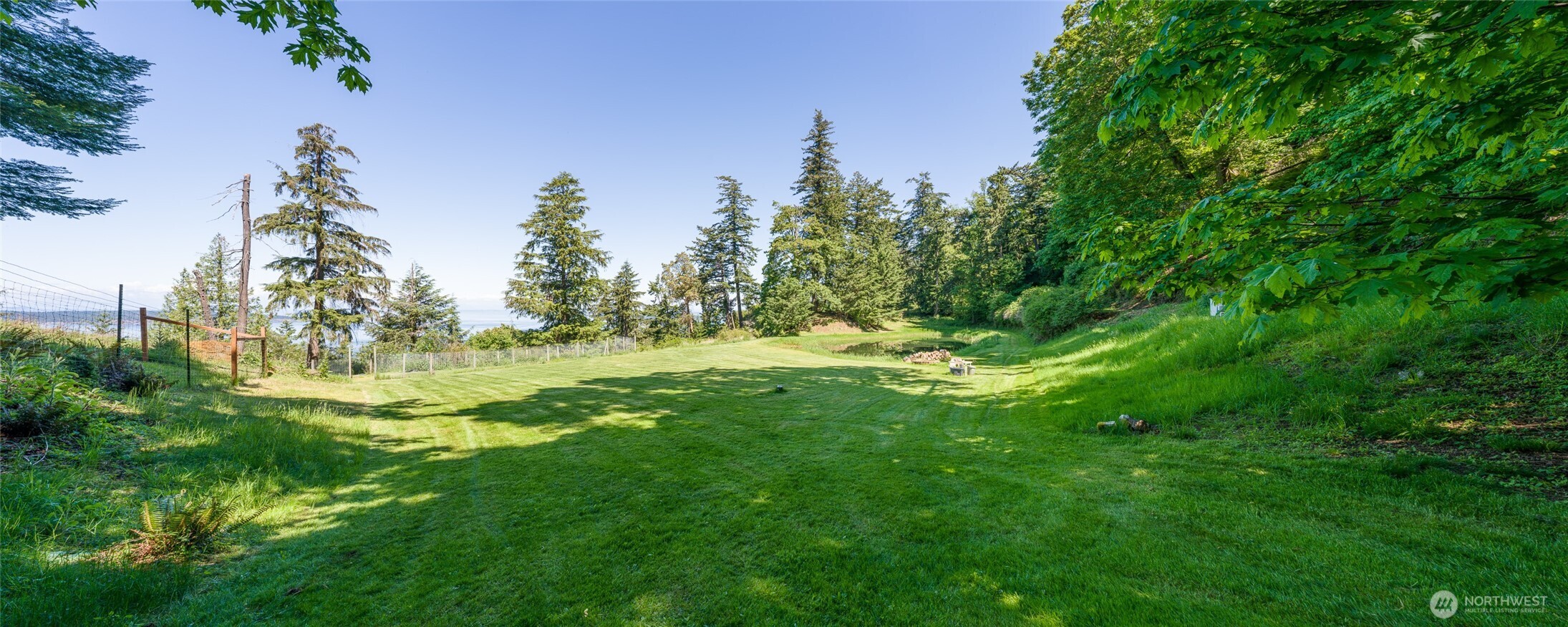 463 Wright Road Orcas Island, WA 98245 - Photo 23 of 40 a view of yard with green space
