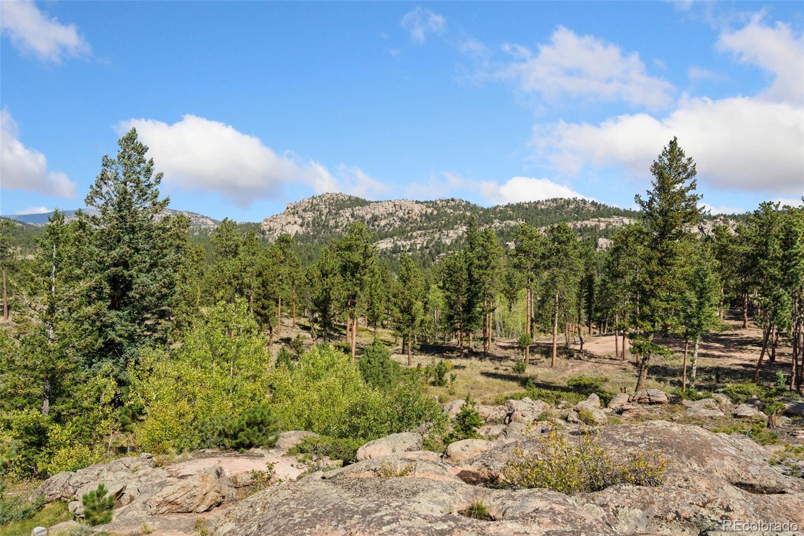 17931 West County Road 74e Red Feather Lakes, CO 80545 - Photo 5 of 45