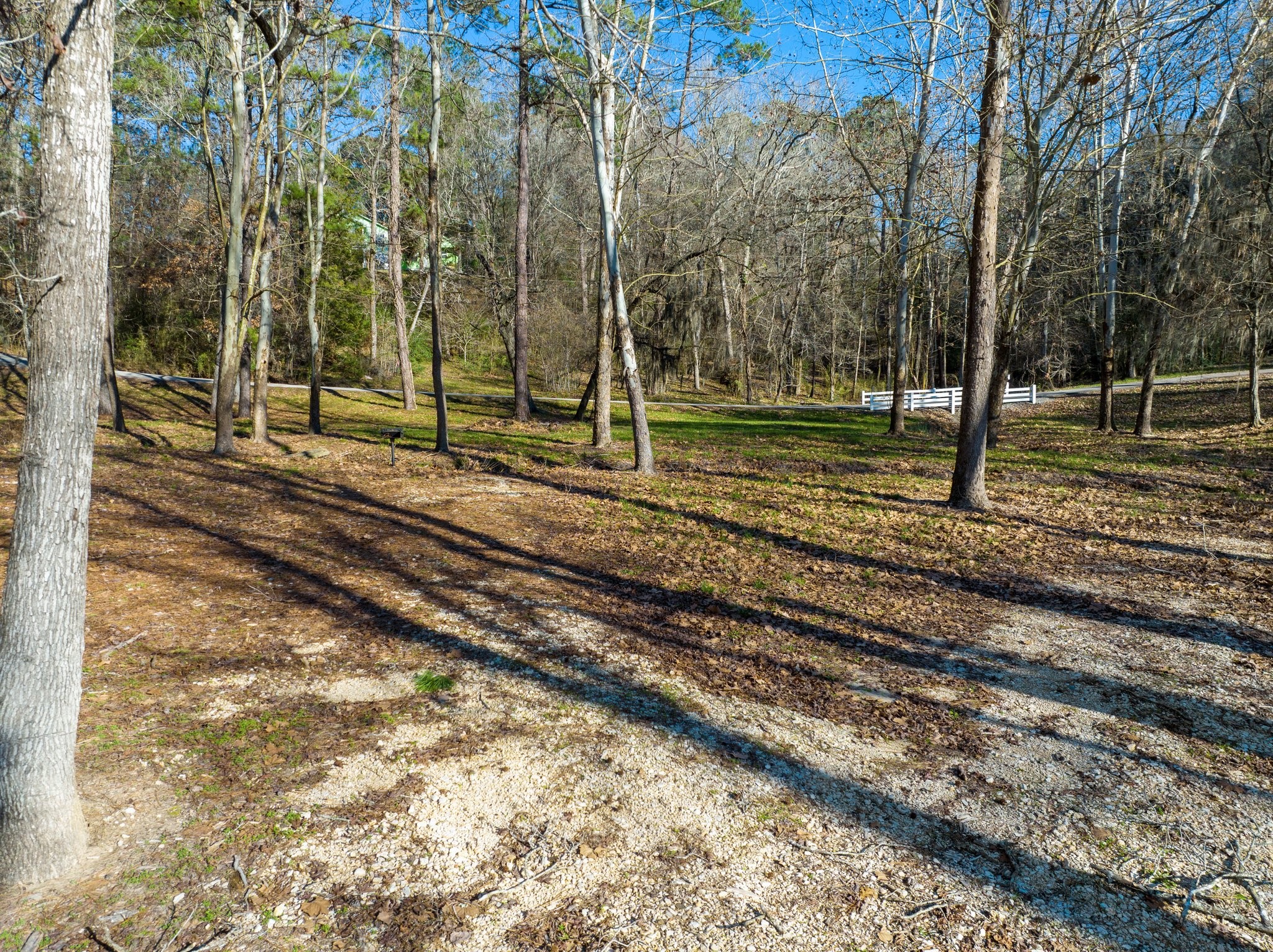 151617 Chain Road Livingston, TX 77351 - Photo 11 of 13 a backyard of a house with lots of green space
