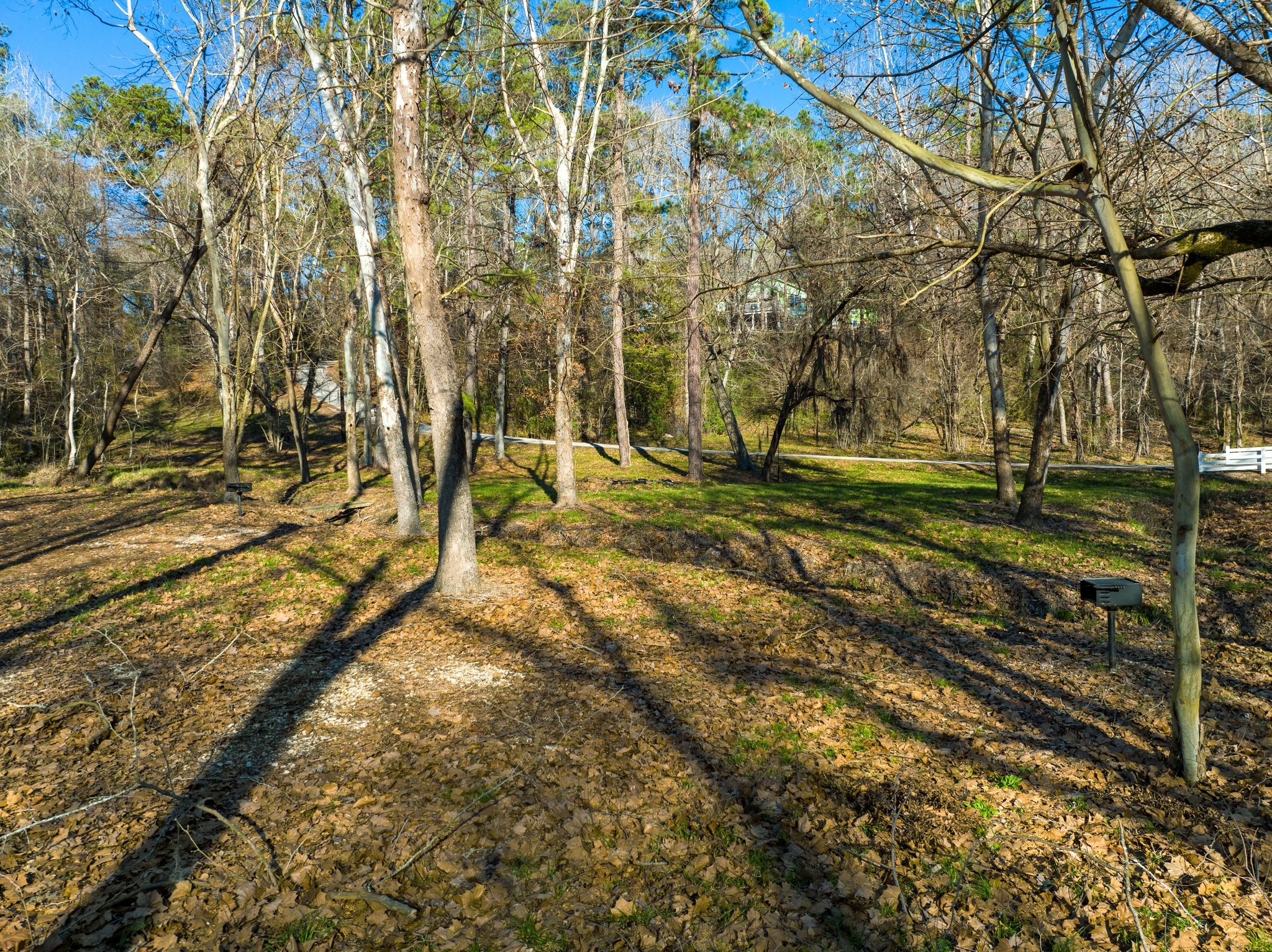 151617 Chain Road Livingston, TX 77351 - Photo 12 of 13 a view of a yard with wooden fence