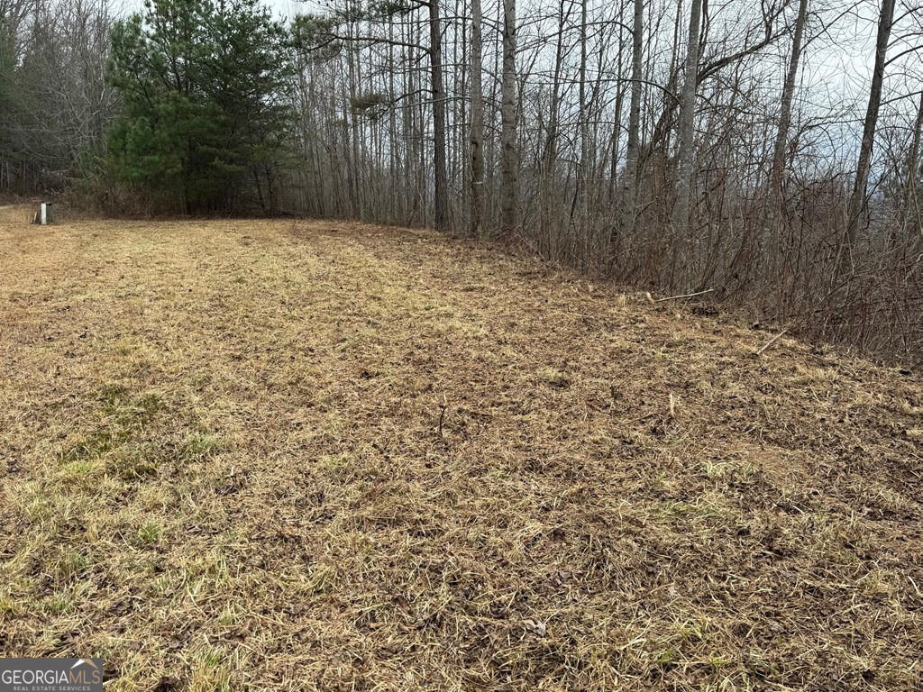 Lot 10 Chatuge Manor Road Young Harris, GA 30582 - Photo 11 of 13