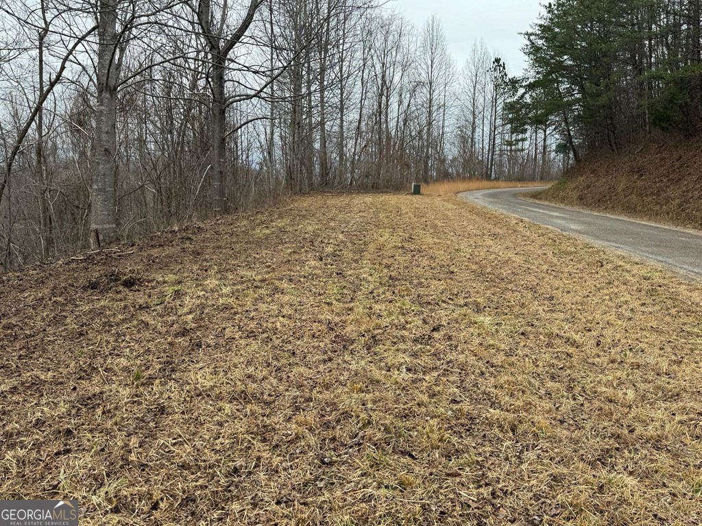 Lot 10 Chatuge Manor Road Young Harris, GA 30582 - Photo 12 of 13