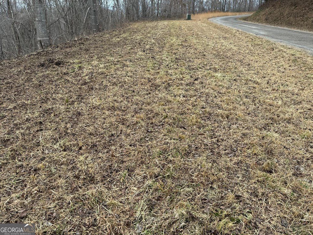 Lot 10 Chatuge Manor Road Young Harris, GA 30582 - Photo 13 of 13