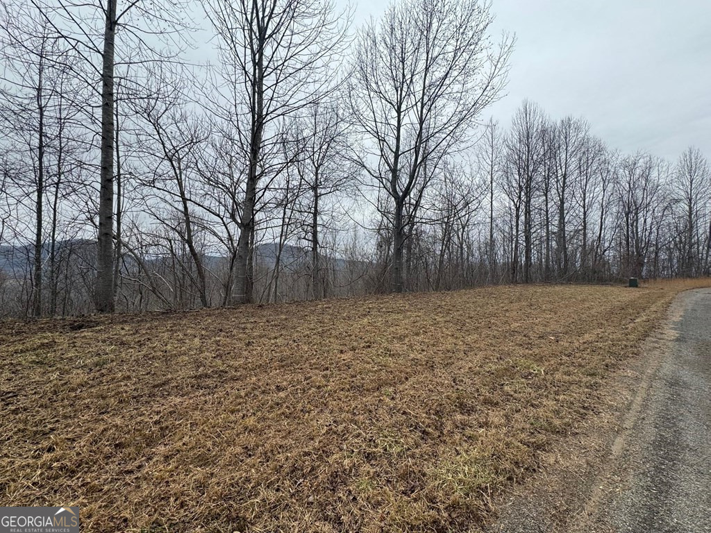 Lot 10 Chatuge Manor Road Young Harris, GA 30582 - Photo 3 of 13