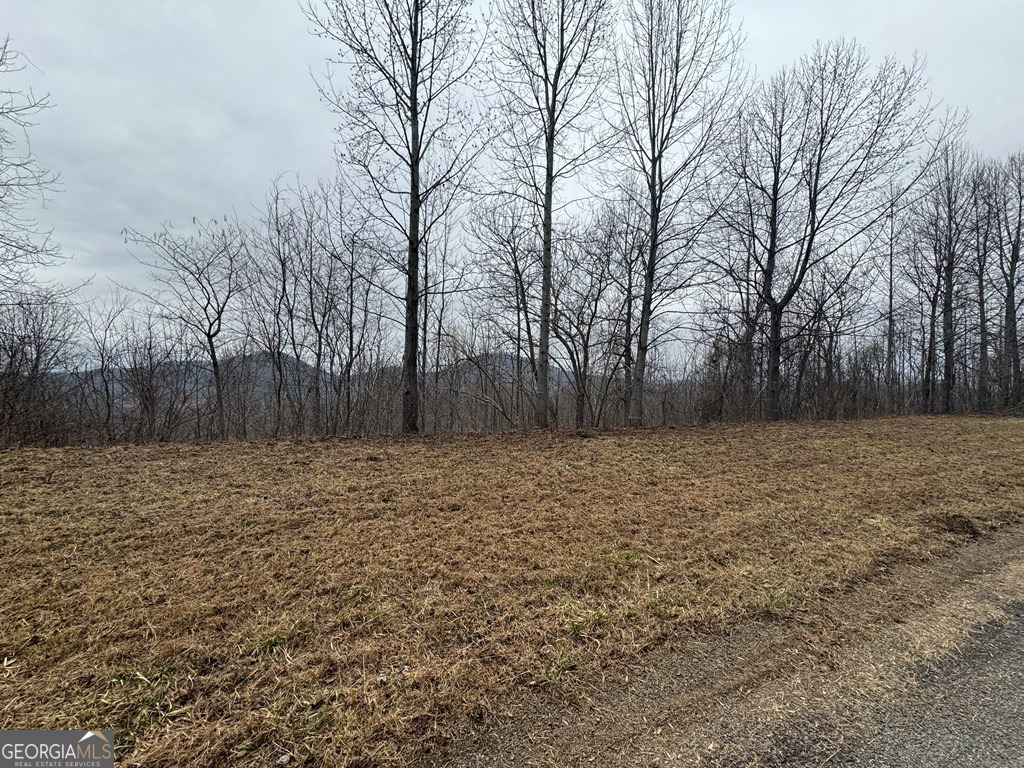 Lot 10 Chatuge Manor Road Young Harris, GA 30582 - Photo 4 of 13