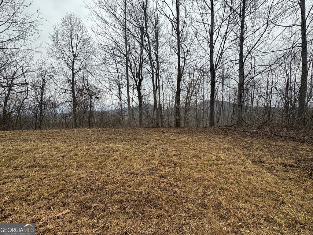 Lot 10 Chatuge Manor Road Young Harris, GA 30582 - Photo 5 of 13