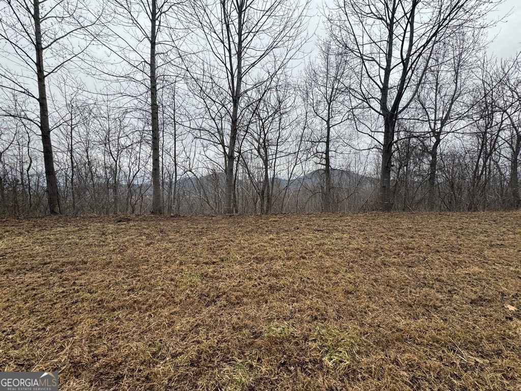 Lot 10 Chatuge Manor Road Young Harris, GA 30582 - Photo 6 of 13