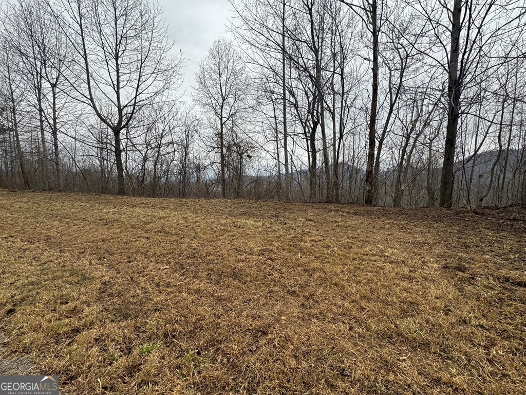 Lot 10 Chatuge Manor Road Young Harris, GA 30582 - Photo 7 of 13