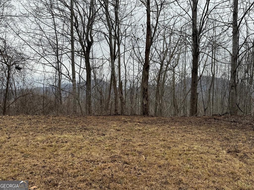 Lot 10 Chatuge Manor Road Young Harris, GA 30582 - Photo 8 of 13