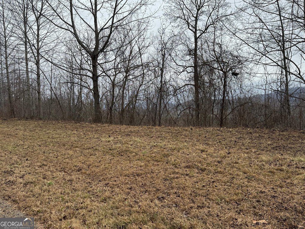 Lot 10 Chatuge Manor Road Young Harris, GA 30582 - Photo 9 of 13