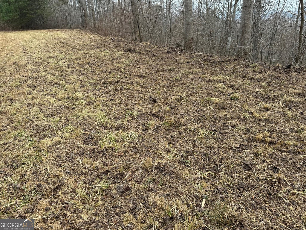 Lot 10 Chatuge Manor Road Young Harris, GA 30582 - Photo 10 of 13