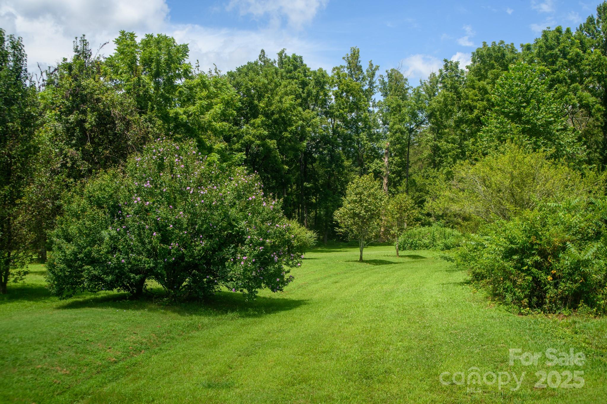 0 Union Baptist Road, Unit 2 Lenoir, NC 28645 - Photo 12 of 37 Gallery Image 12