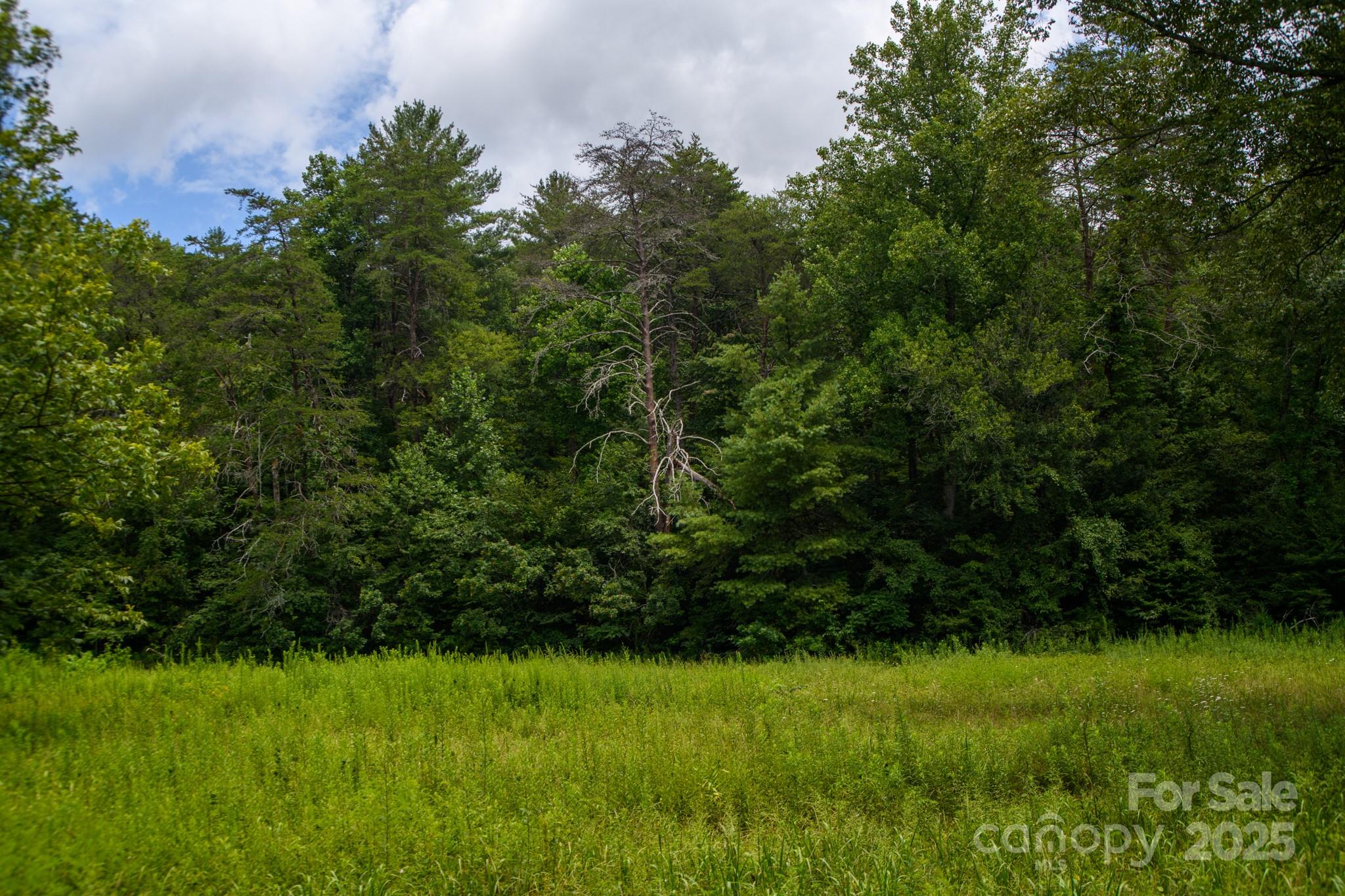 0 Union Baptist Road, Unit 2 Lenoir, NC 28645 - Photo 14 of 37 Gallery Image 14
