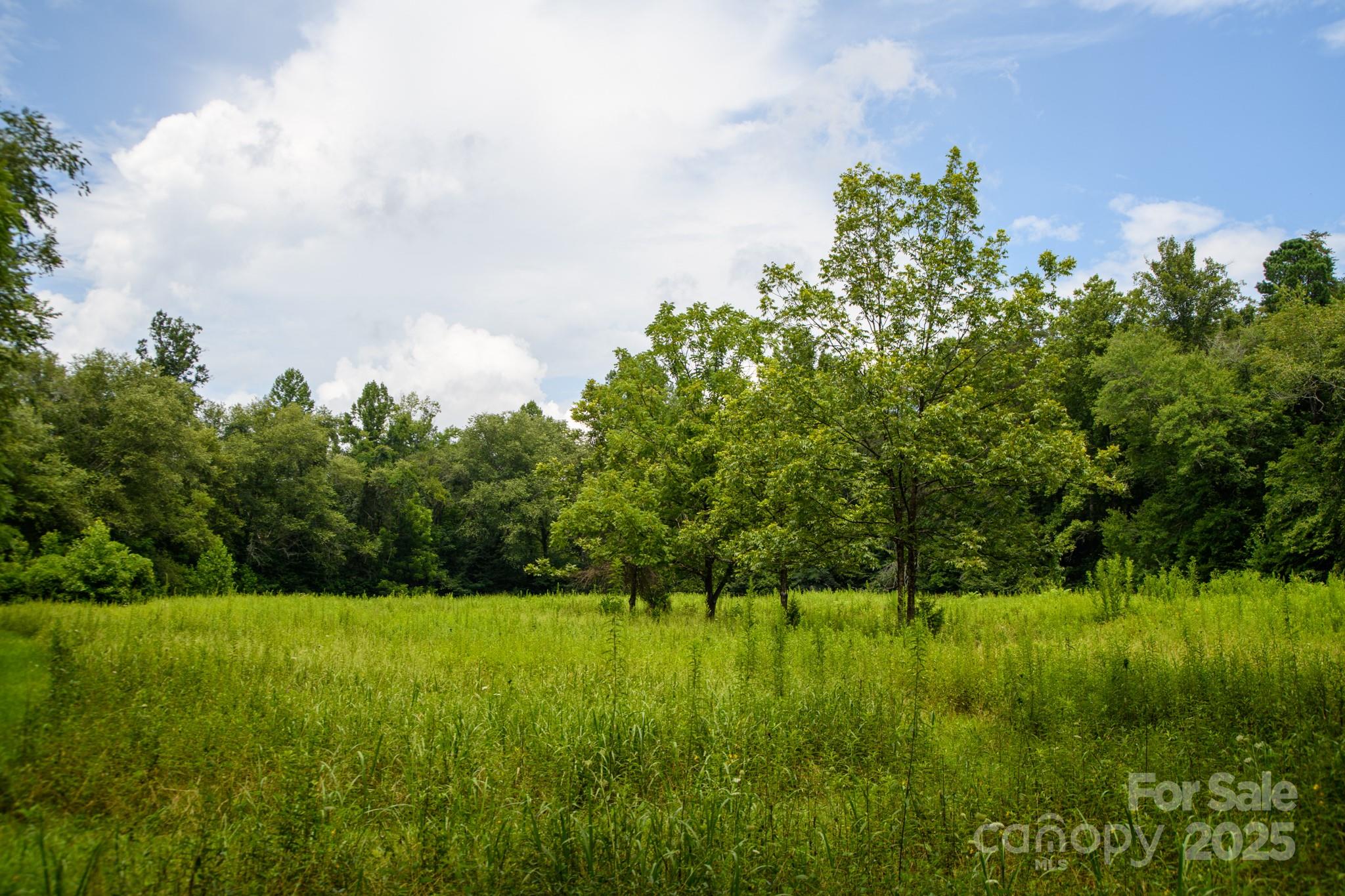 0 Union Baptist Road, Unit 2 Lenoir, NC 28645 - Photo 25 of 37 Gallery Image 25